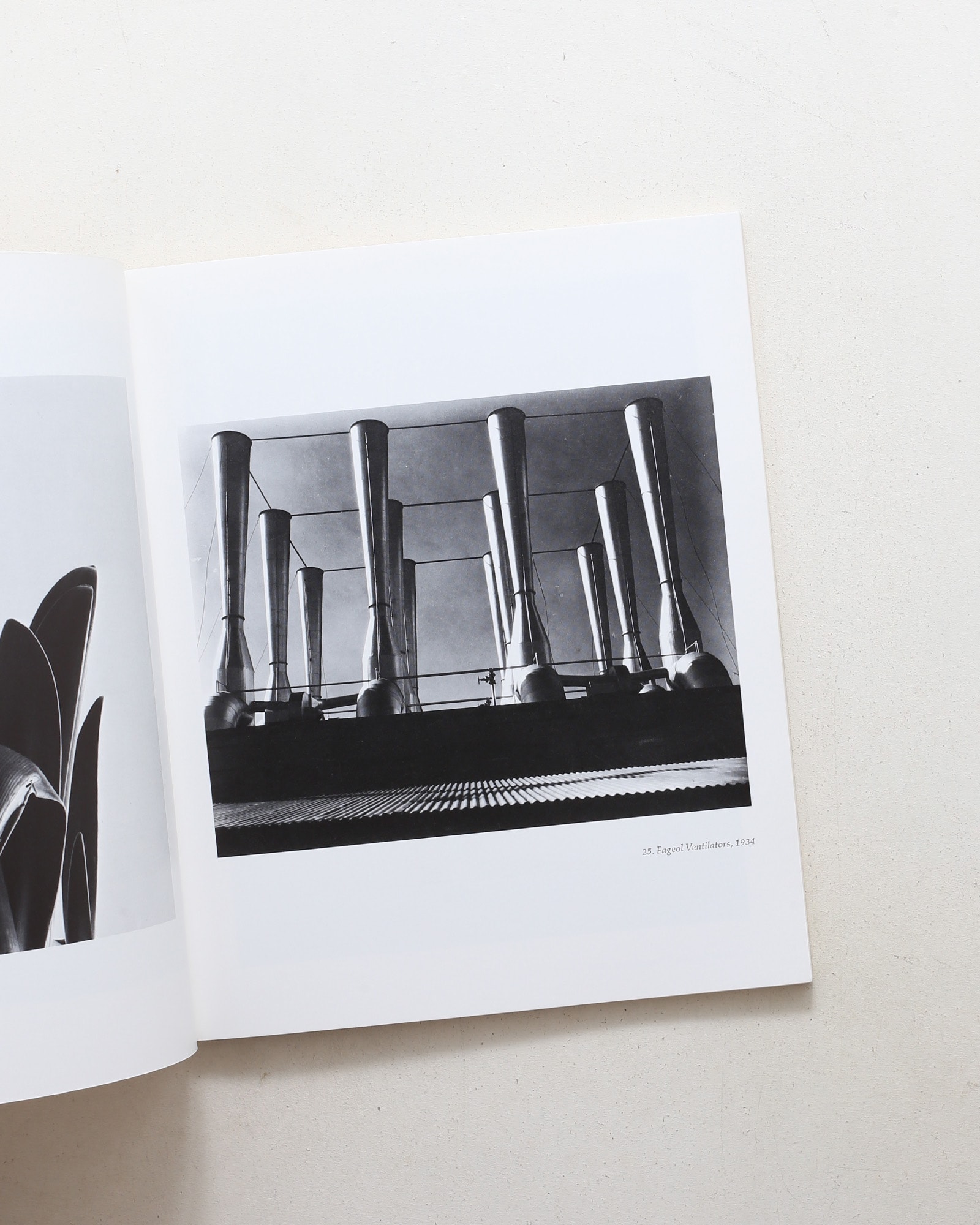 Imogen Cunningham: Photographs