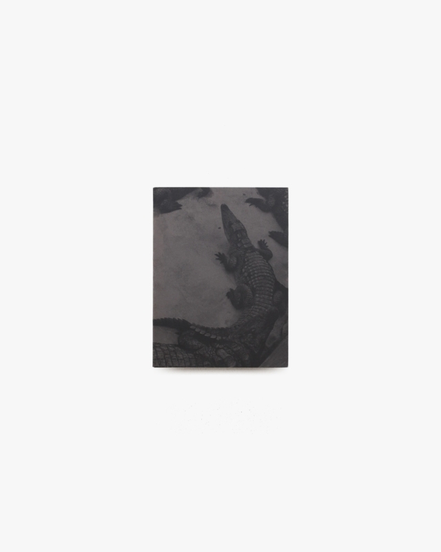 Rester | Laurent Chardon