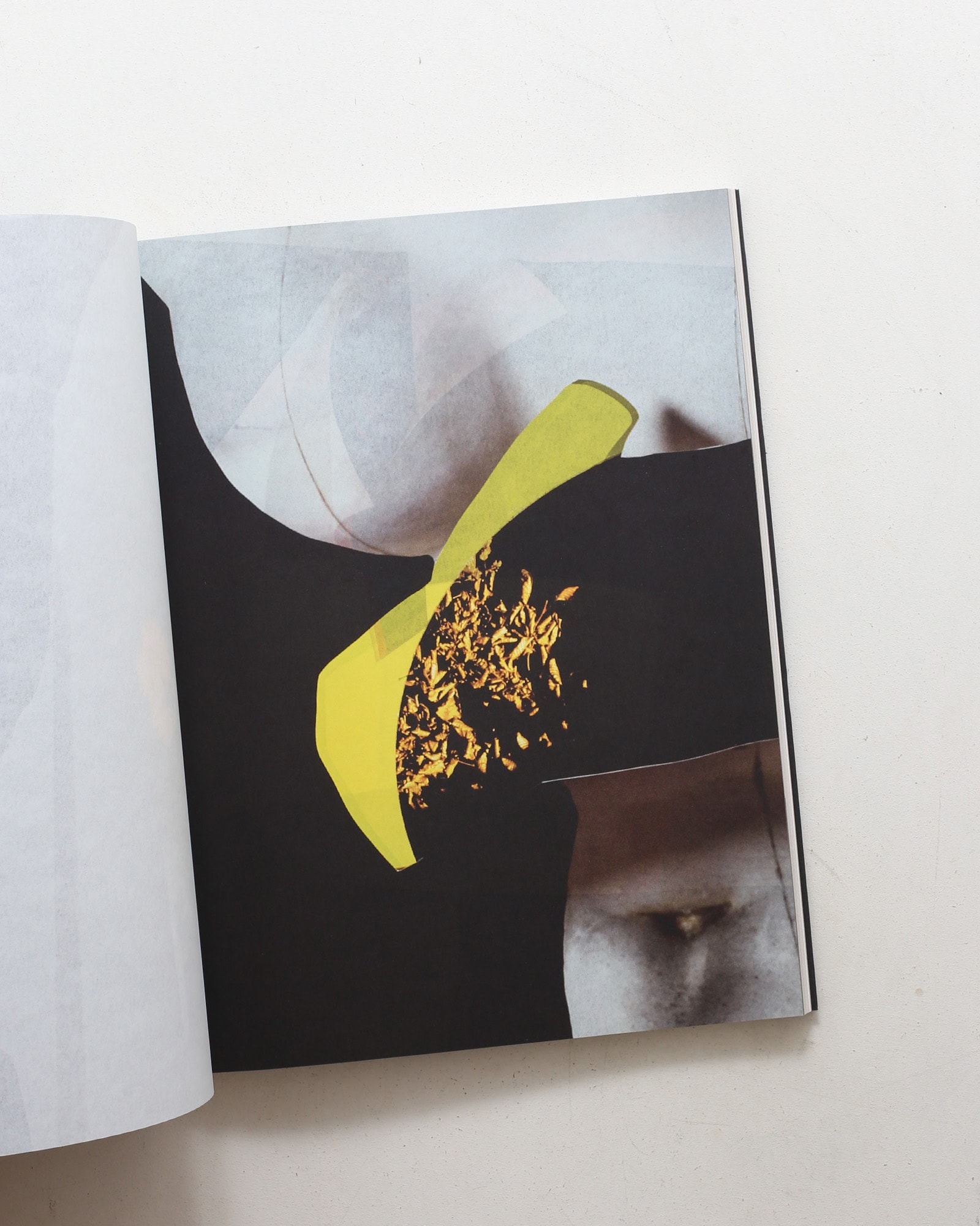 Venus ＆ Mercury | Viviane Sassen