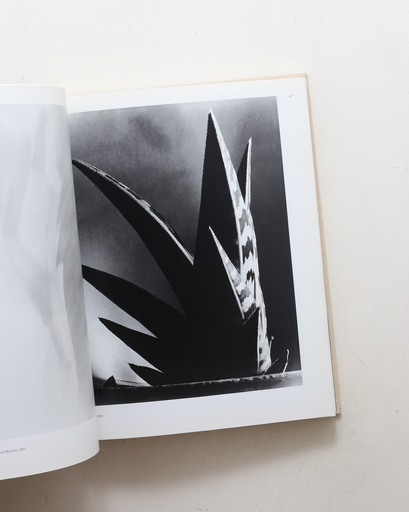 Imogen Cunningham