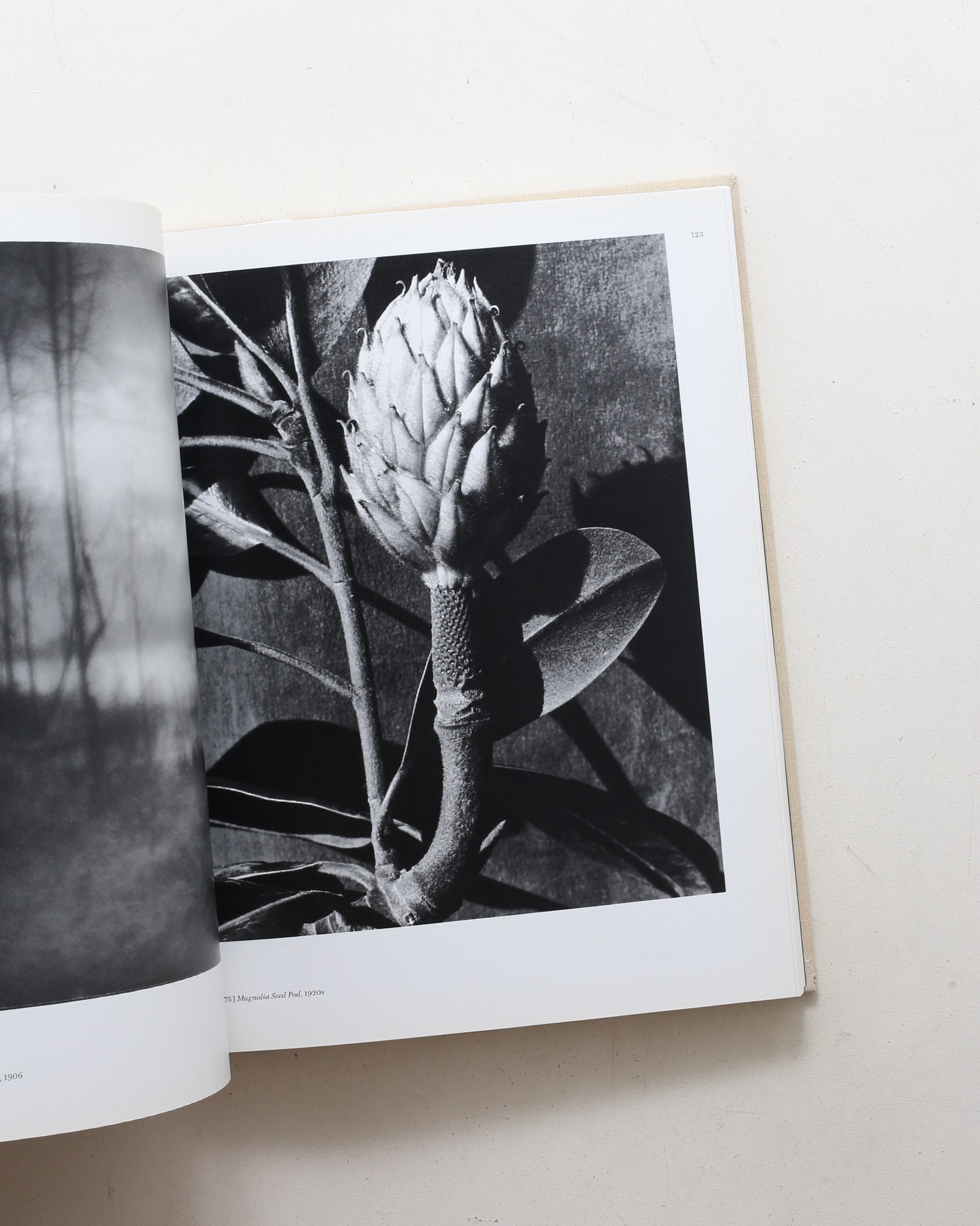 Imogen Cunningham