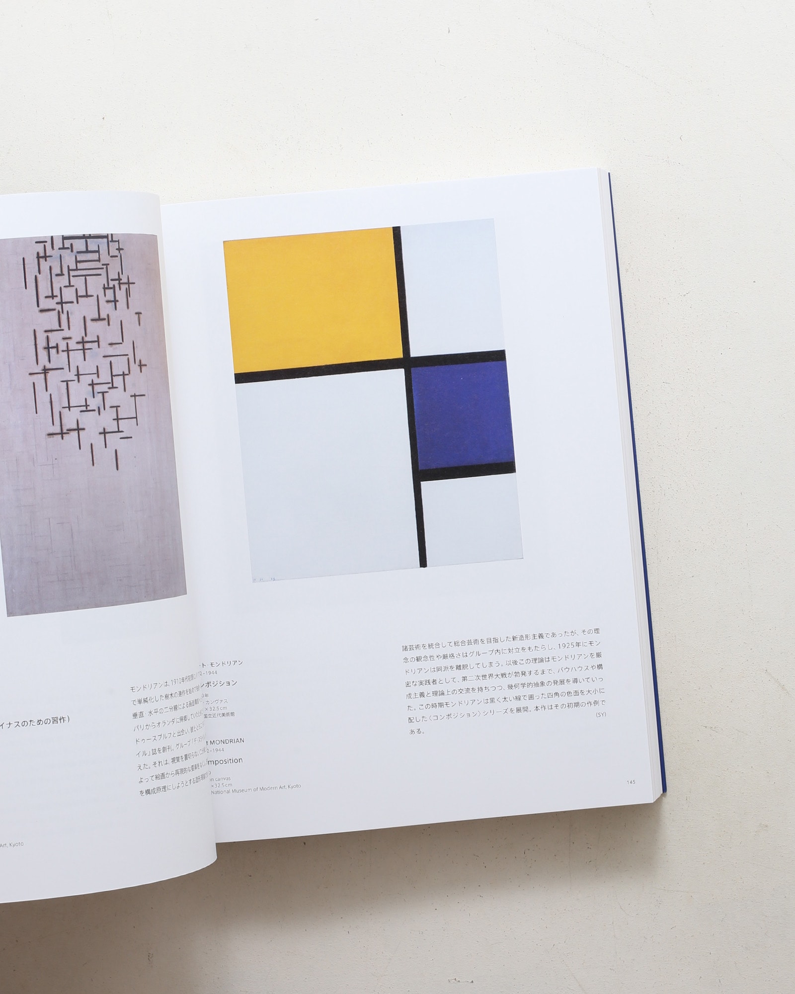 ABSTRACTION 抽象絵画の覚醒と展開 | nostos books ノストスブックス