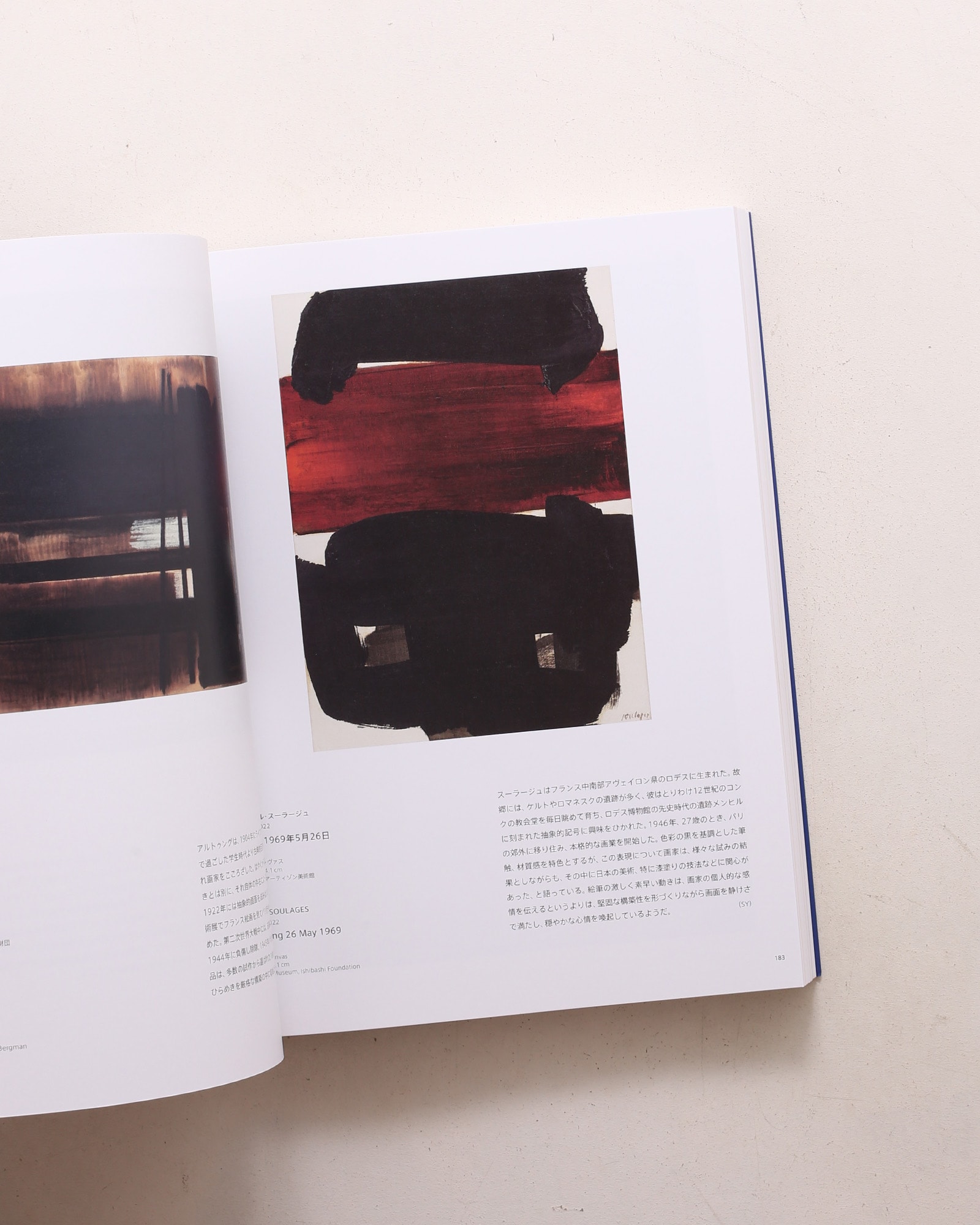 ABSTRACTION 抽象絵画の覚醒と展開 | nostos books ノストスブックス