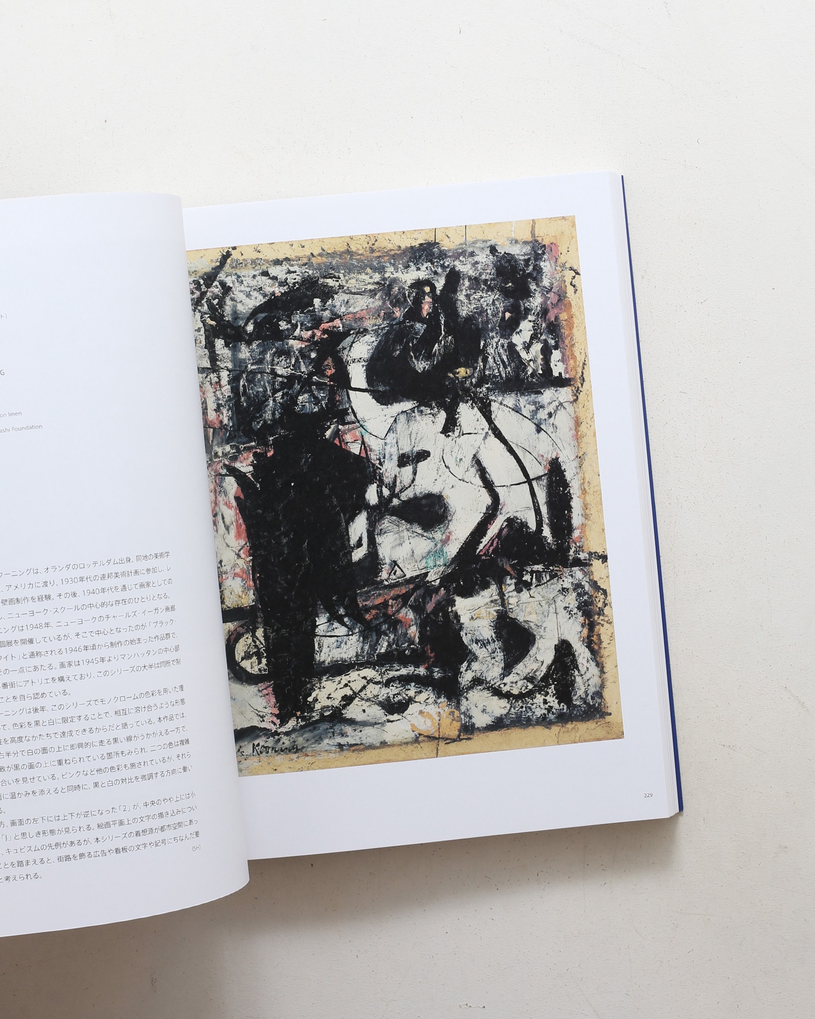 ABSTRACTION 抽象絵画の覚醒と展開 | nostos books ノストスブックス