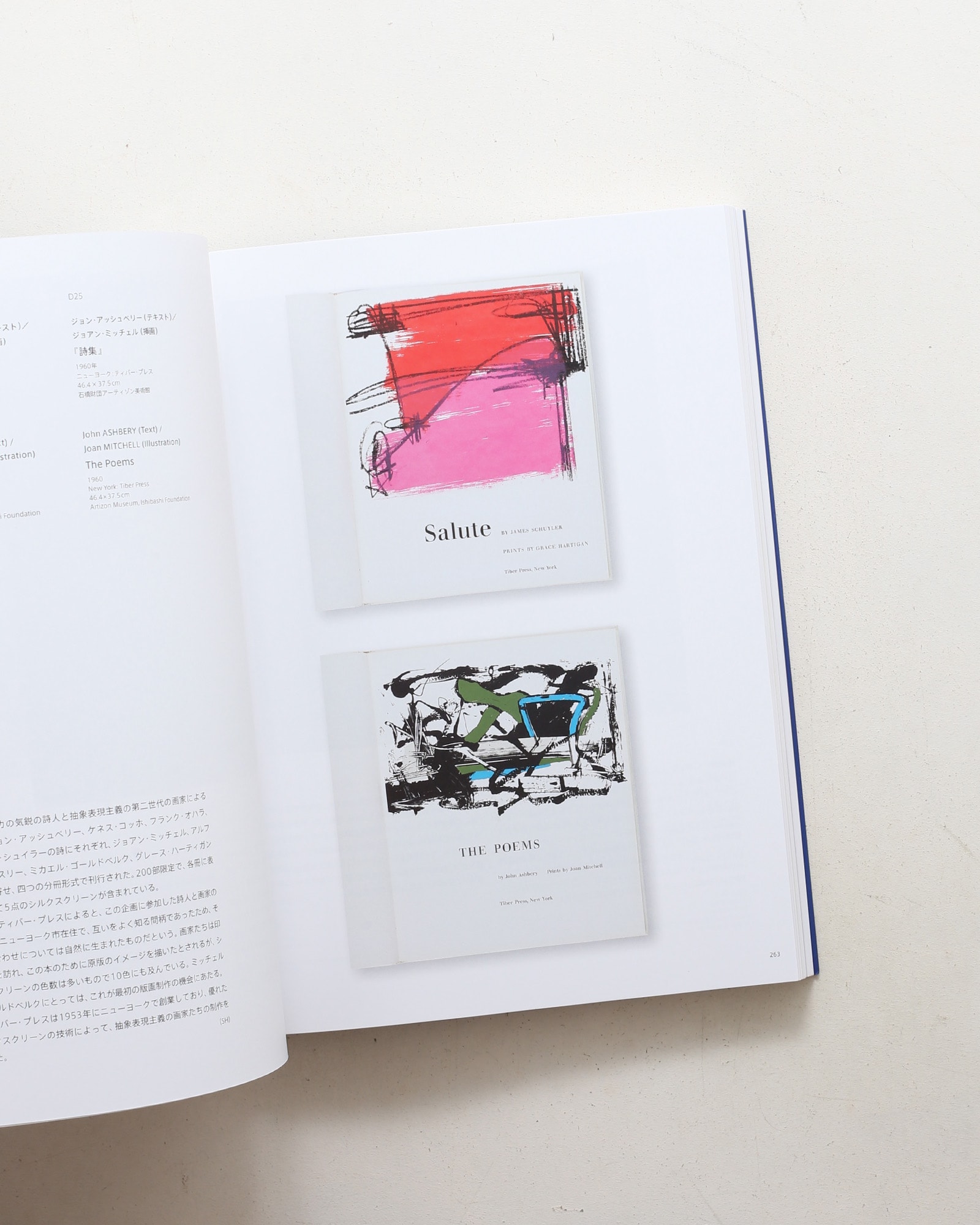 ABSTRACTION 抽象絵画の覚醒と展開 | nostos books ノストスブックス