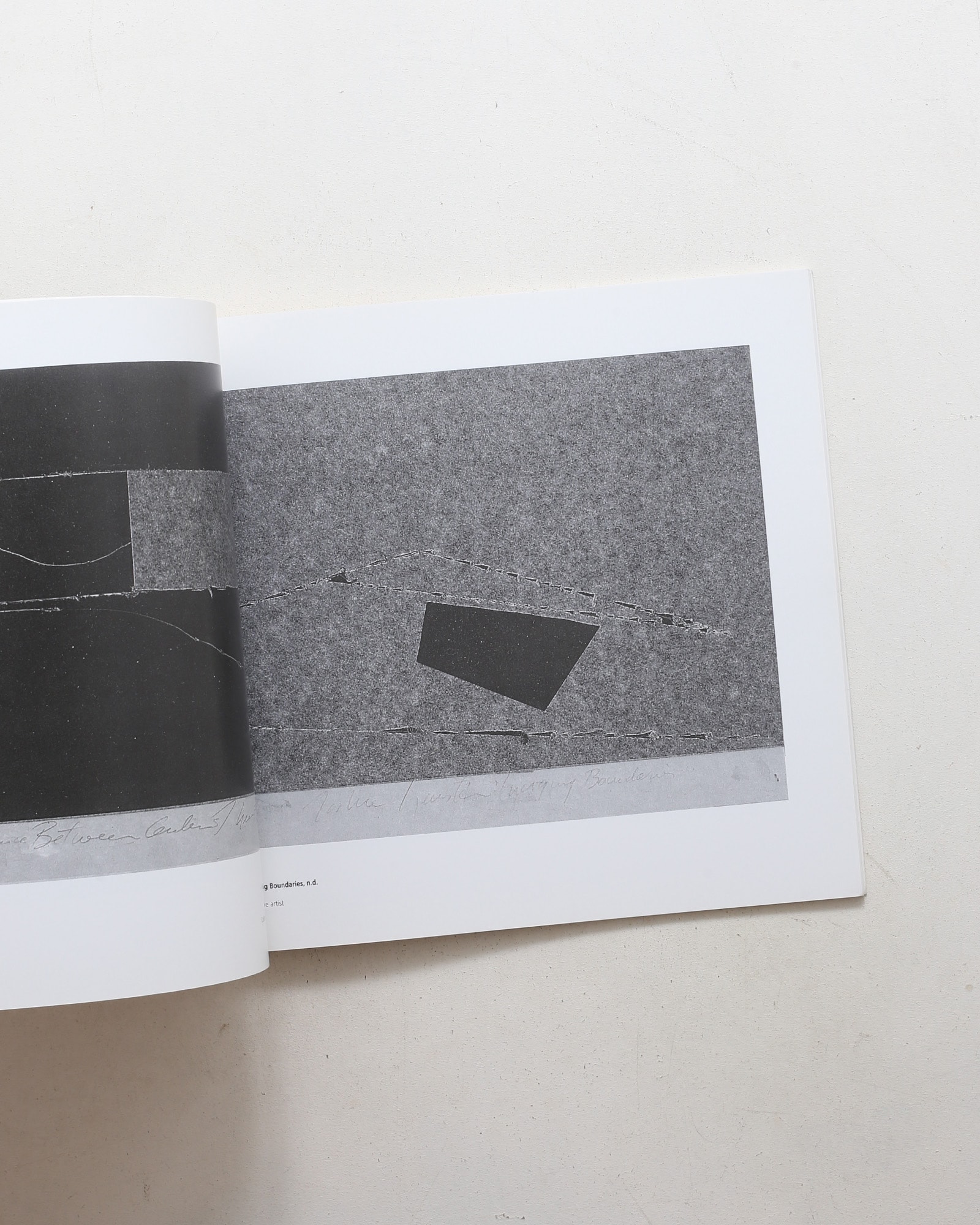 The Carbon Series | Joshua Neustein