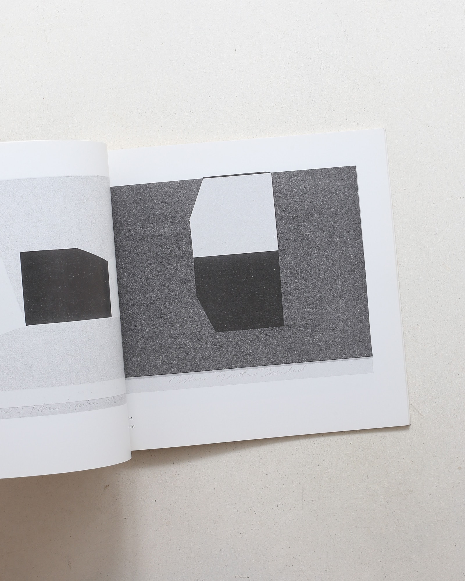 The Carbon Series | Joshua Neustein
