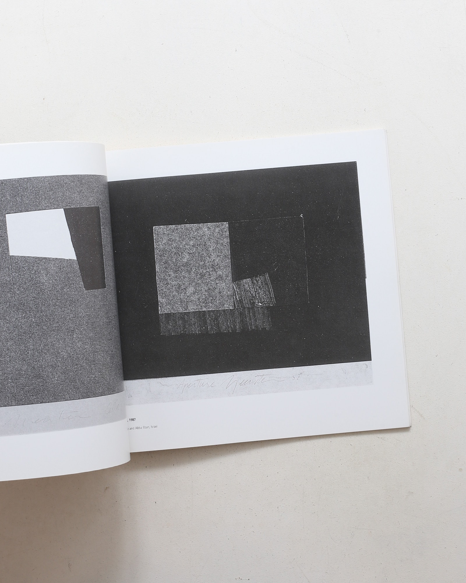 The Carbon Series | Joshua Neustein