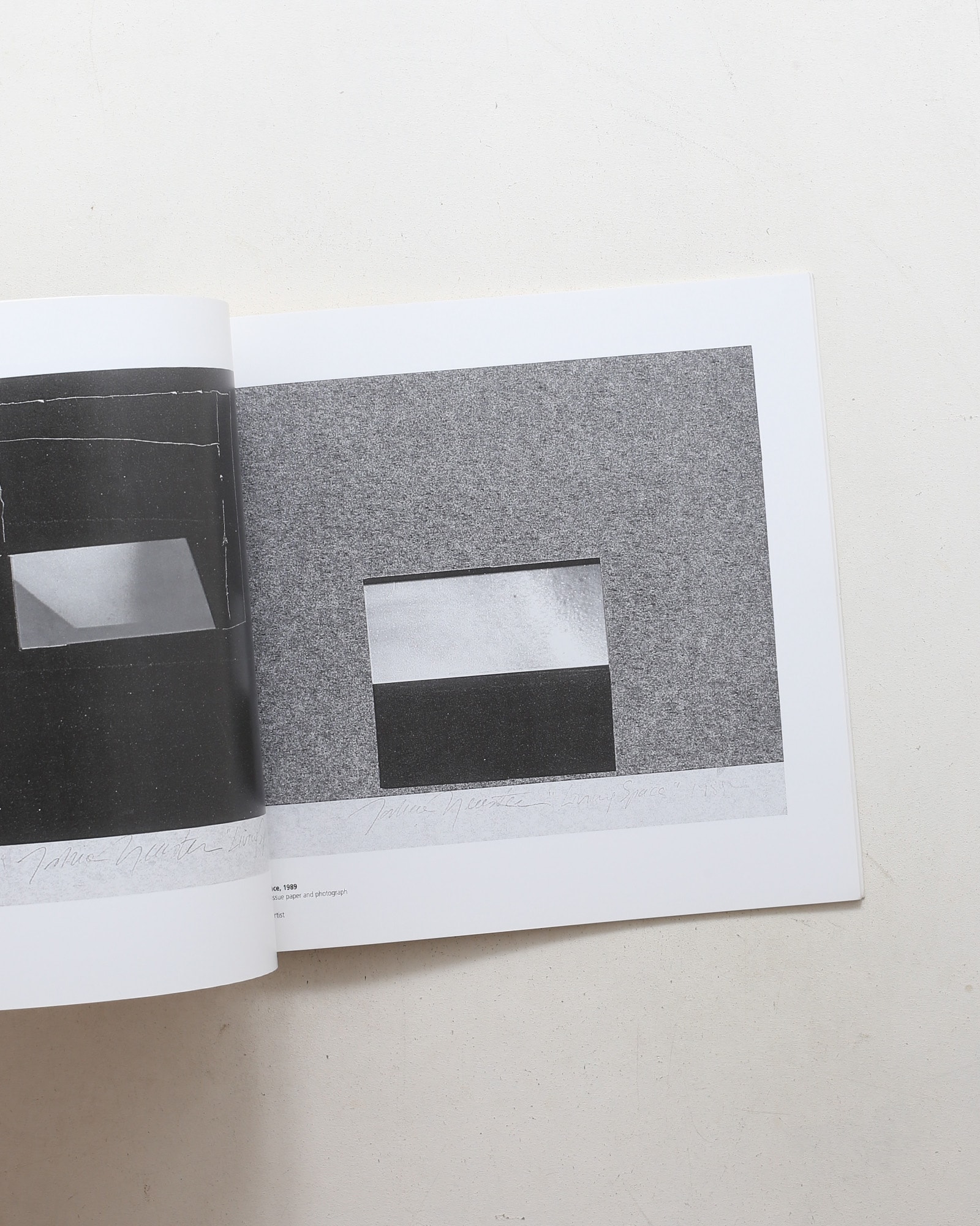 The Carbon Series | Joshua Neustein