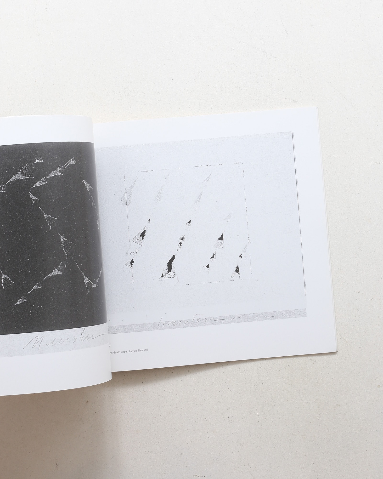 The Carbon Series | Joshua Neustein