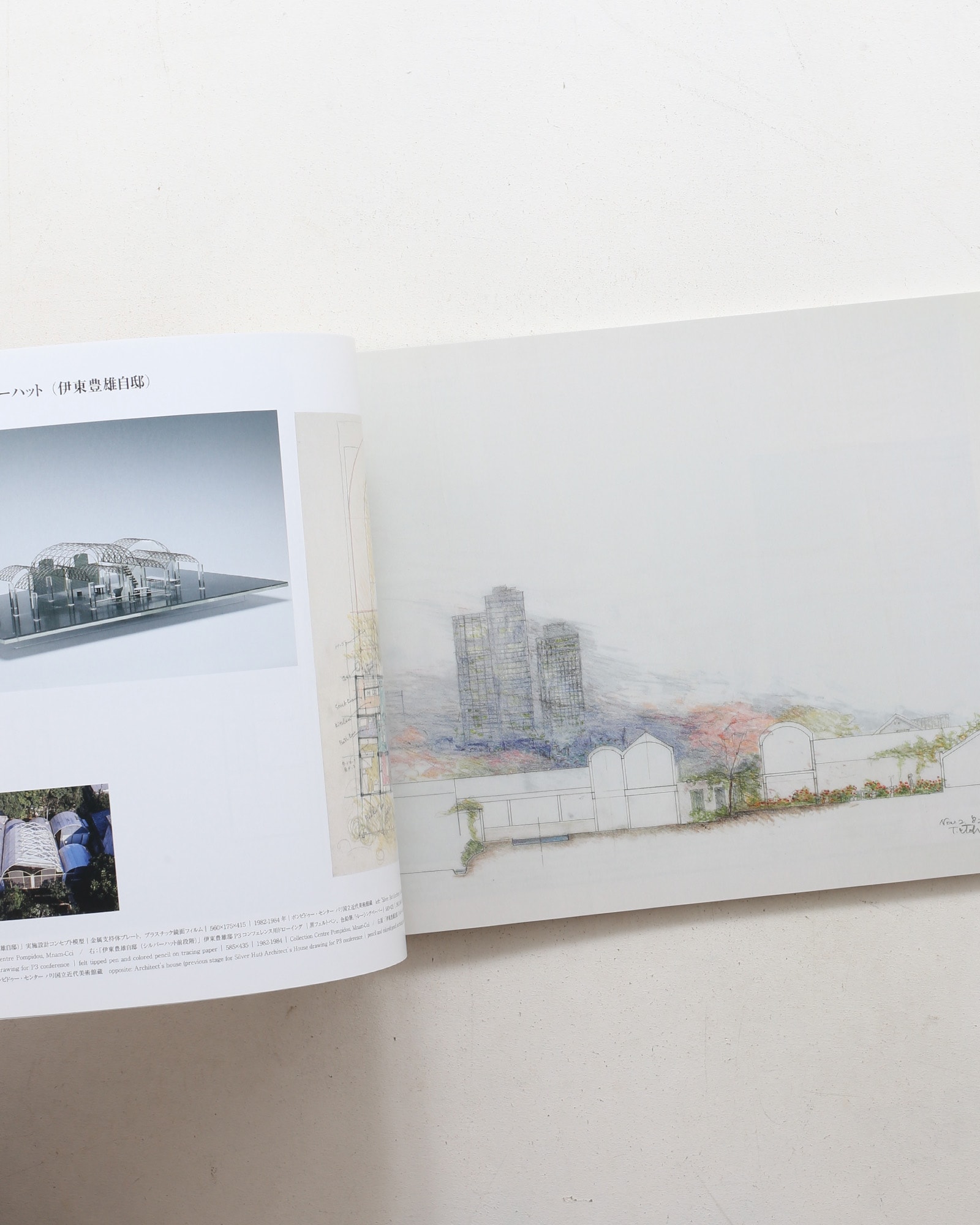 新建築2014年11月別冊 ジャパン・アーキテクツ1945-2010