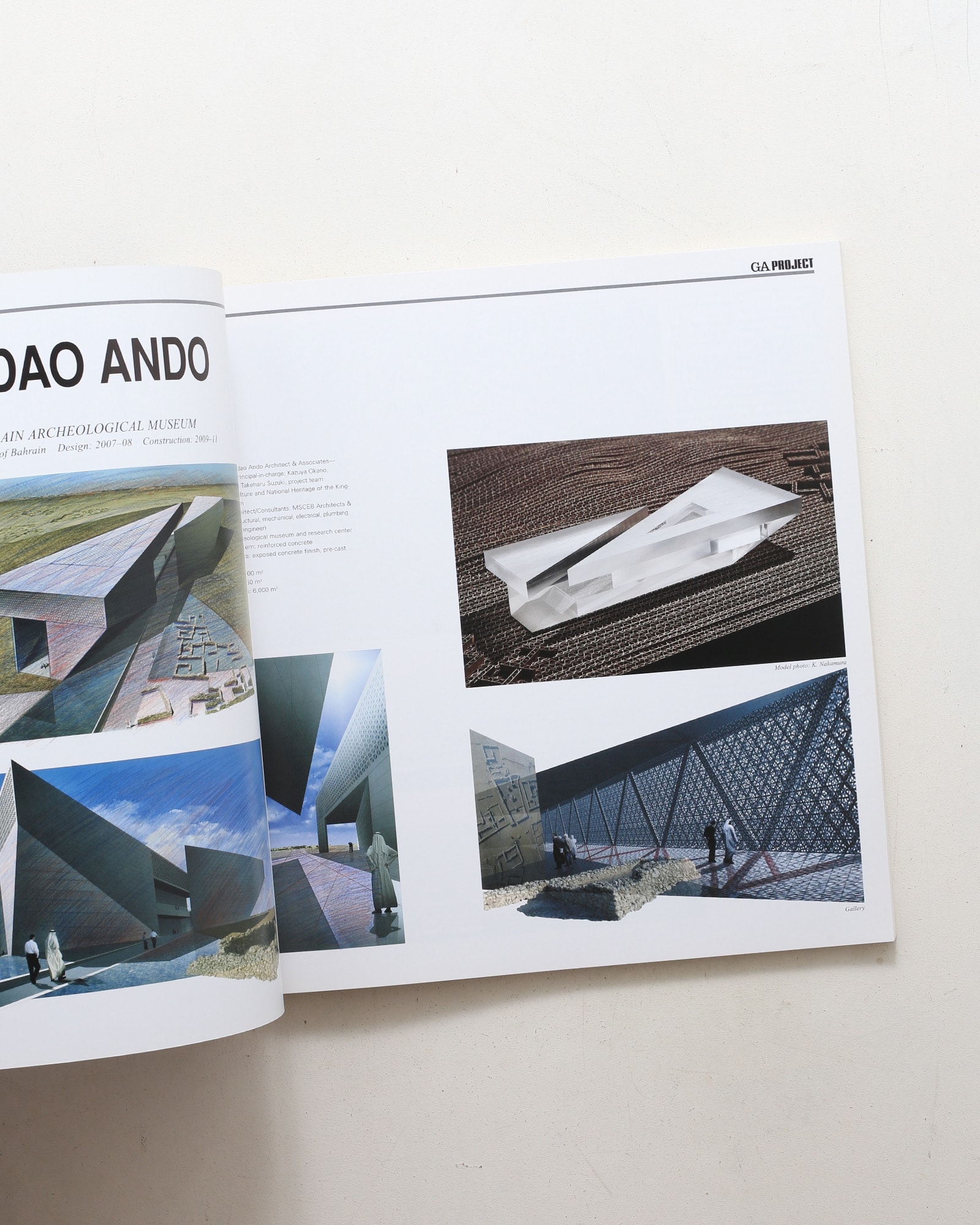 GA DOCUMENT 103 世界の建築 INTERNATIONAL 2008
