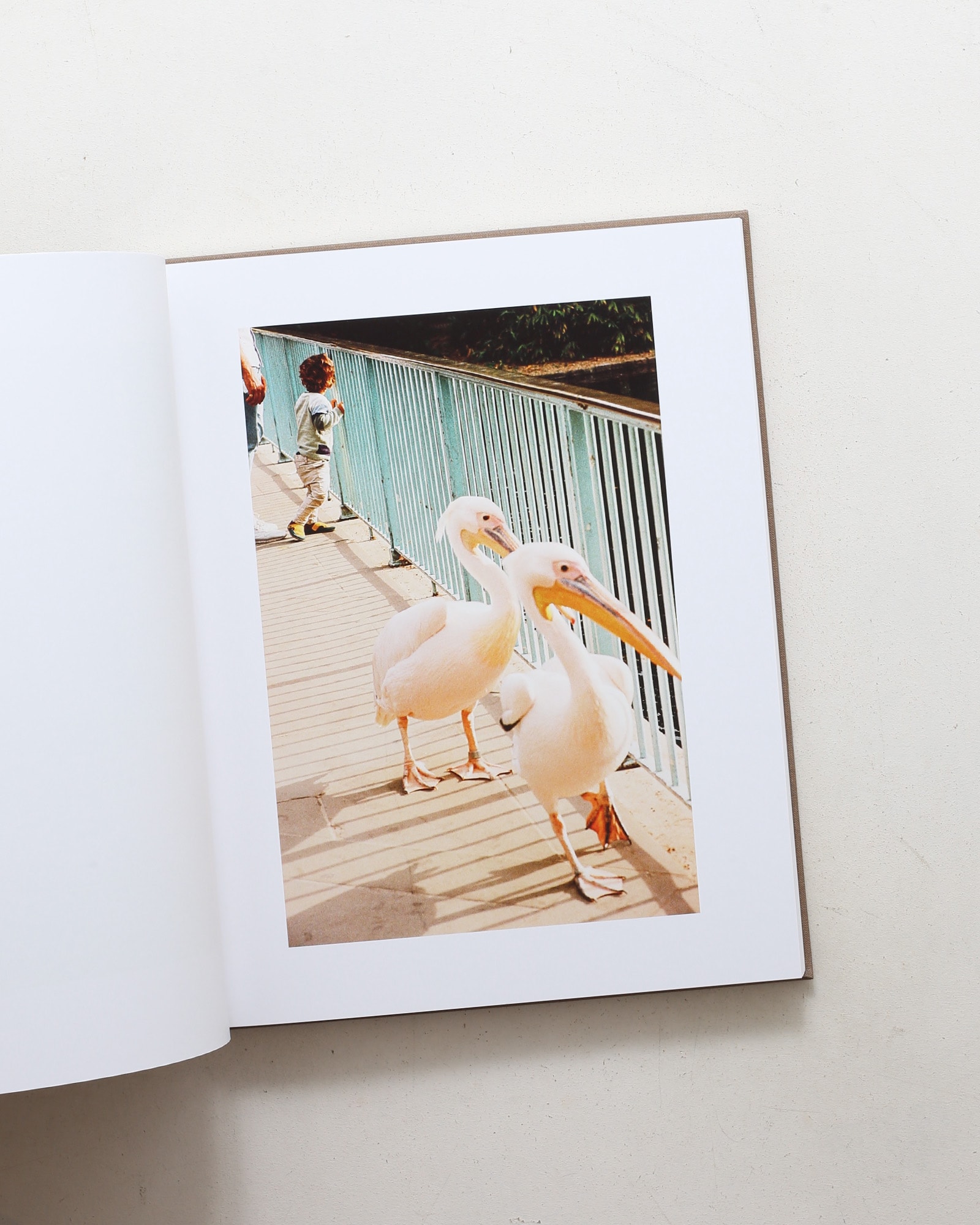September in London | Reiko Toyama