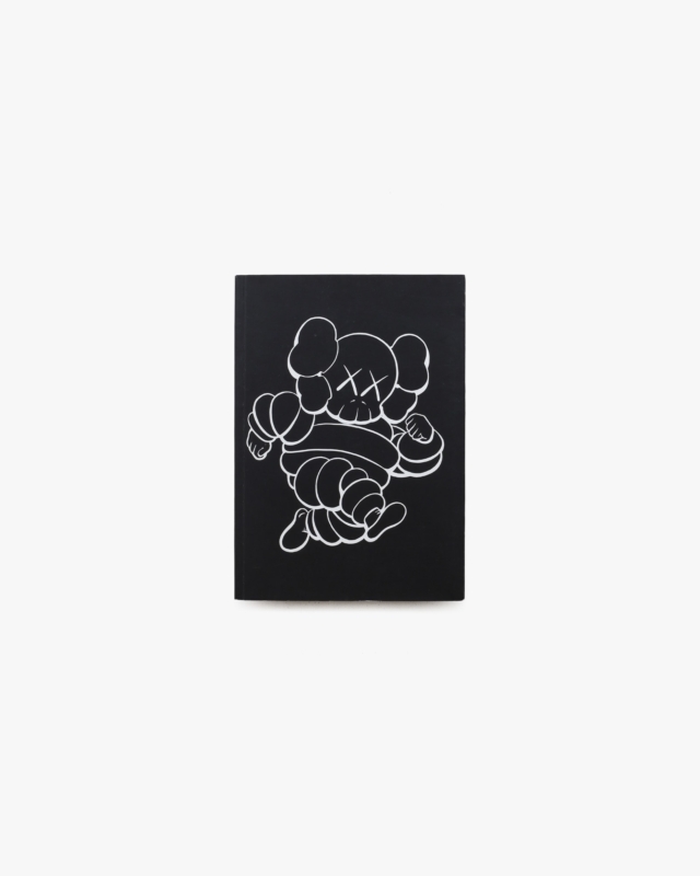 KAWS EXPOSED