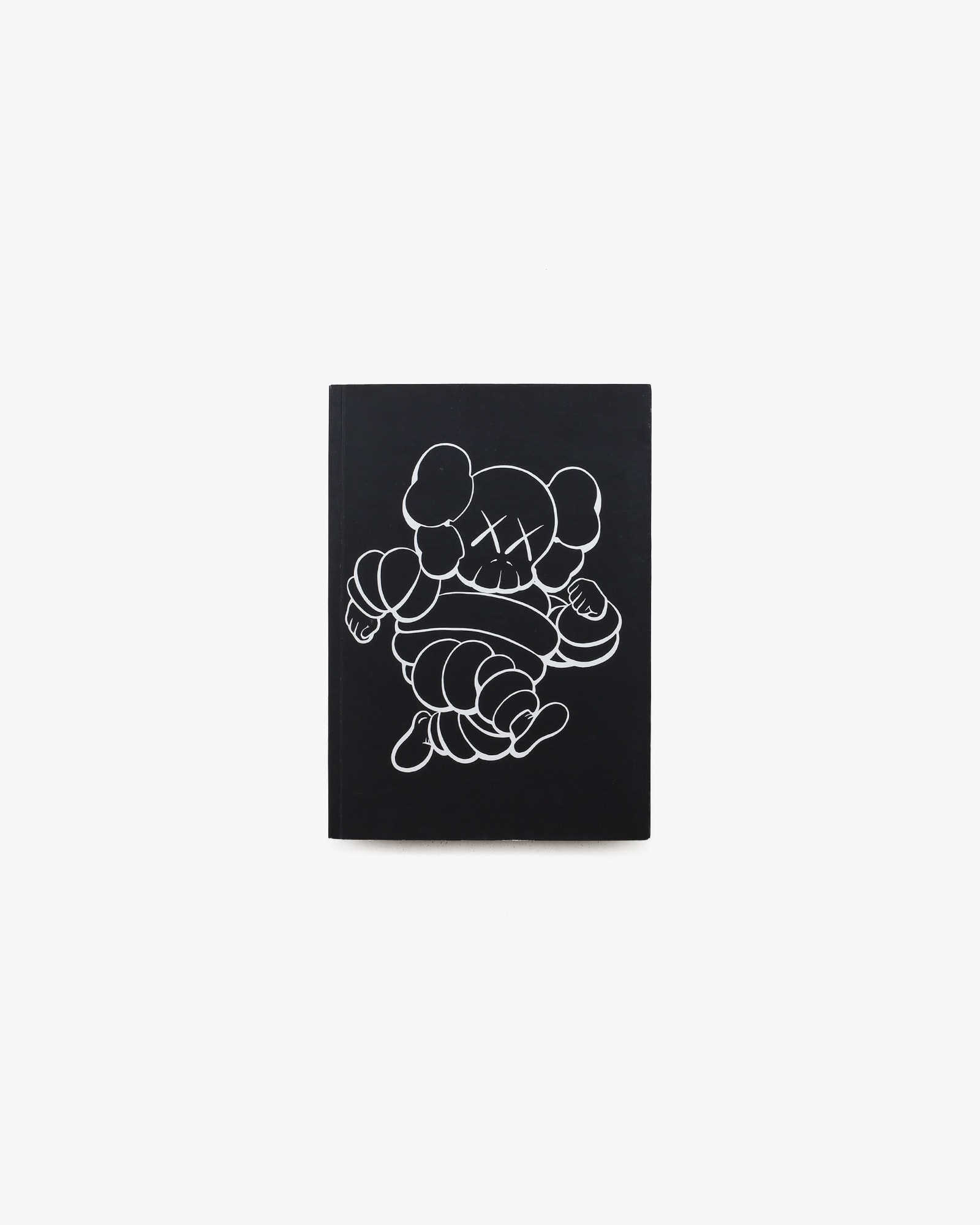 KAWS EXPOSED