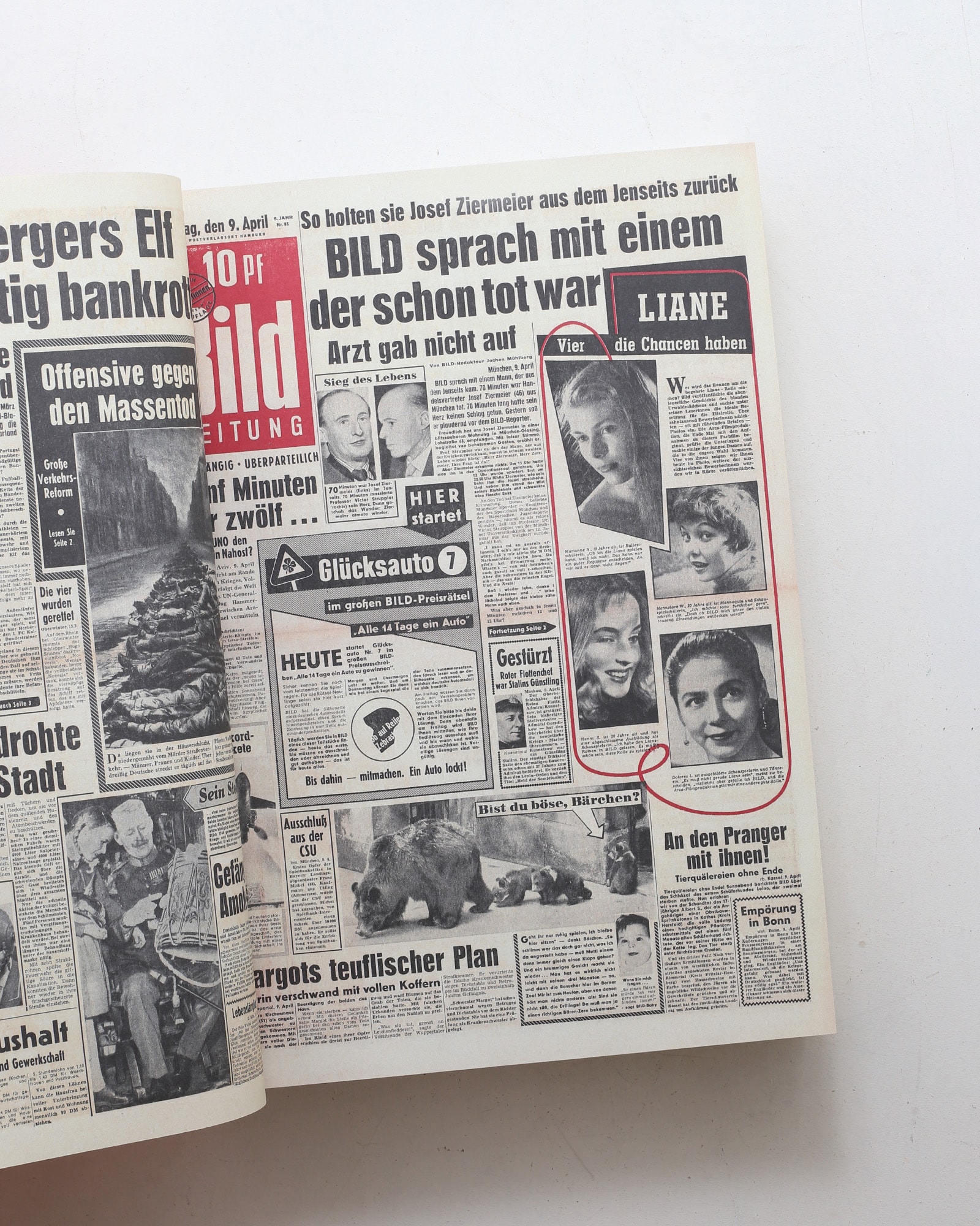Das BILD Buch