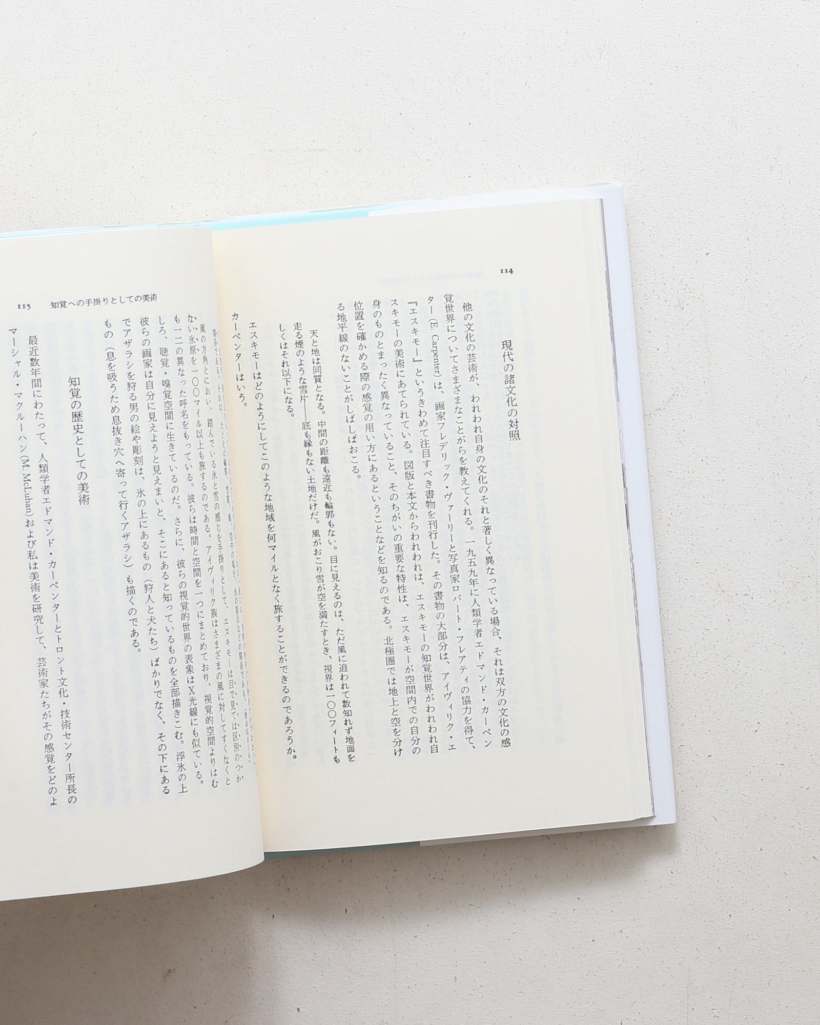 かくれた次元 | エドワード・ホール