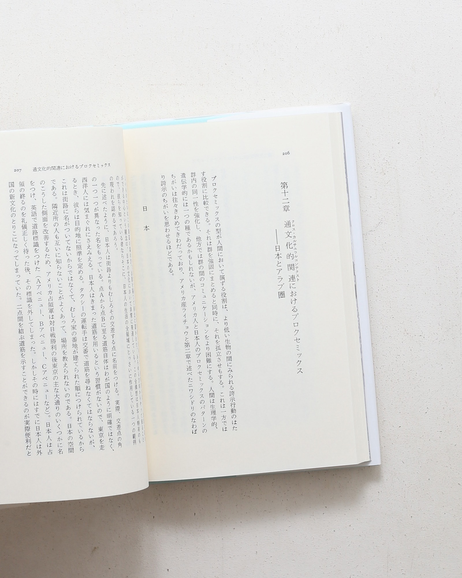 かくれた次元 | エドワード・ホール