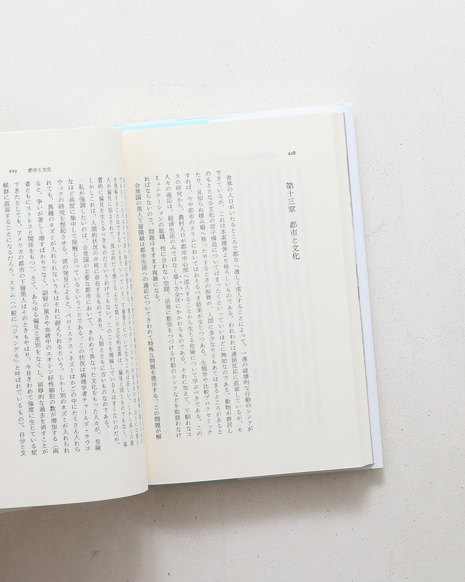 かくれた次元 | エドワード・ホール