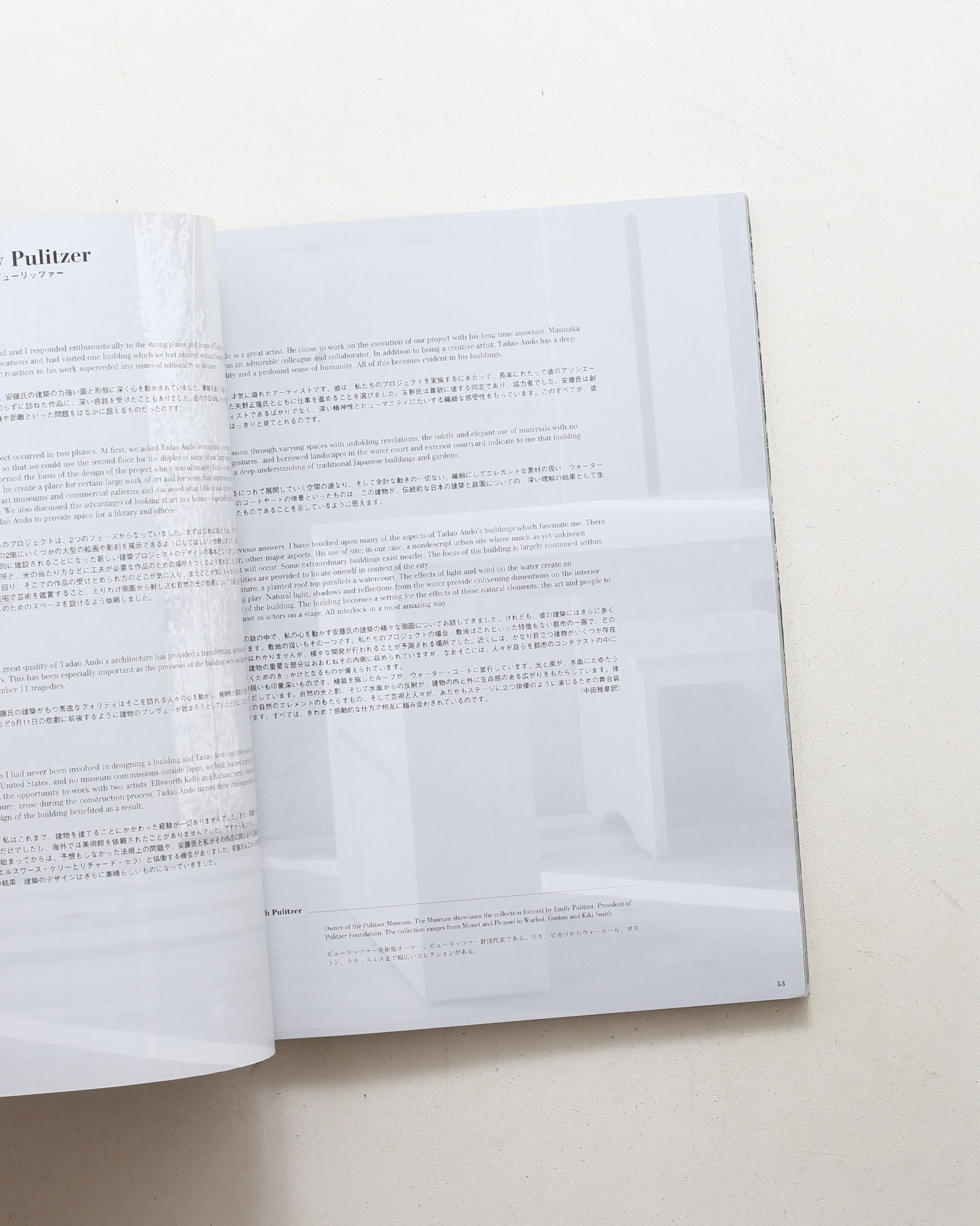 a+u 建築と都市 2002年3月号 No.378 安藤忠雄 インサイド・アウトサイド