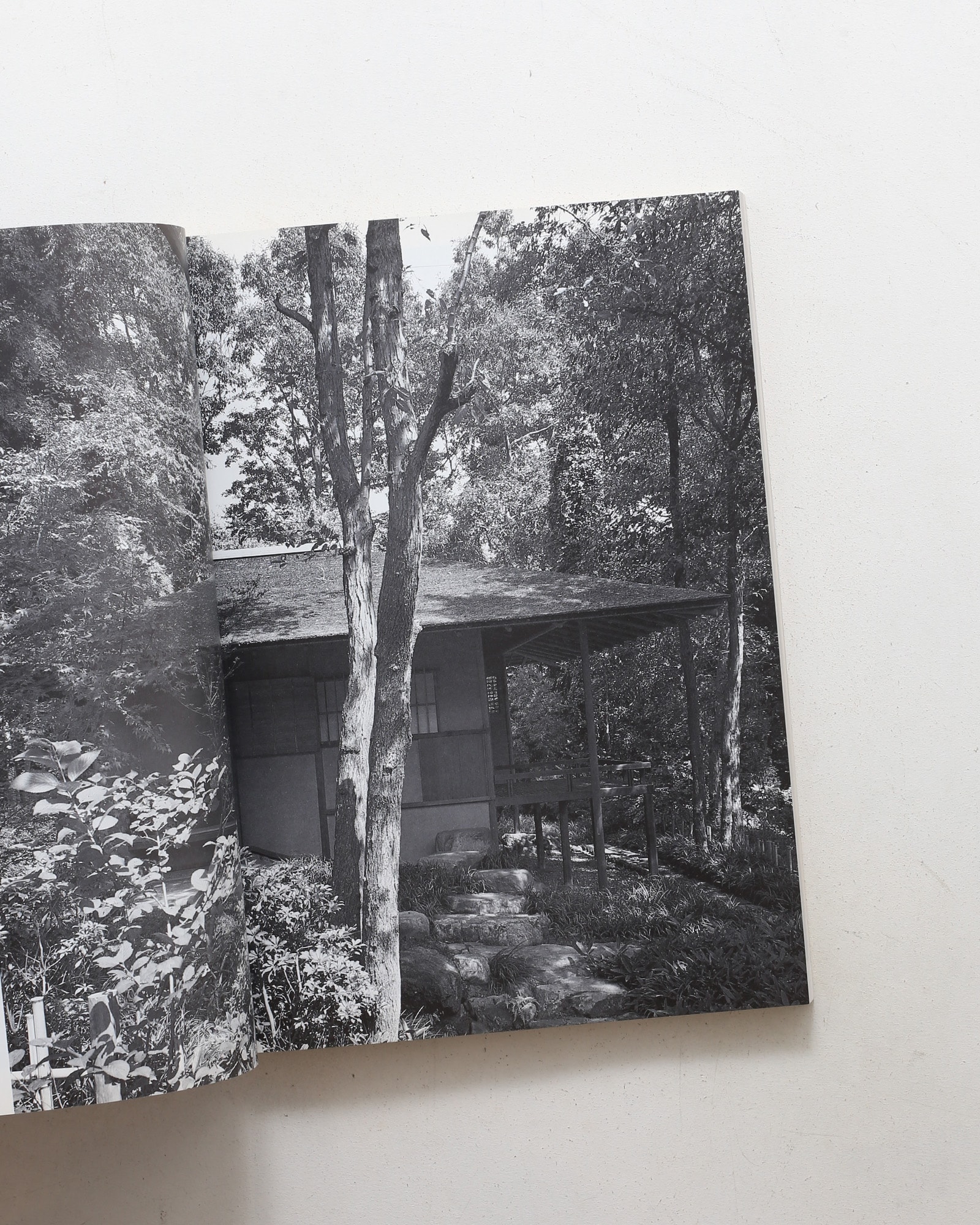 新建築 1983年1月臨時増刊号 数寄屋建築へのアプローチ
