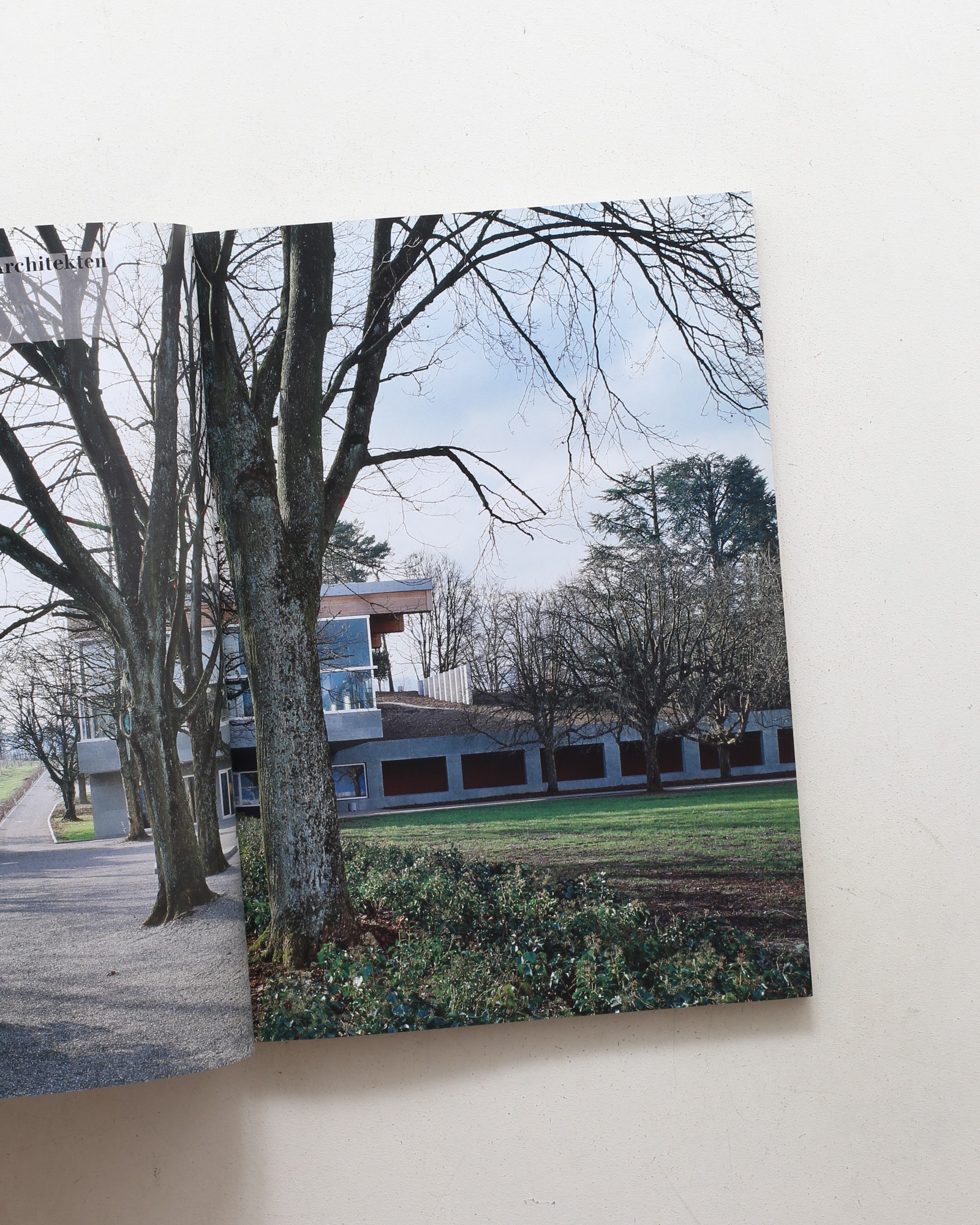 a+u 建築と都市 2011年1月号 No.484 スイス・サウンド：スイスの建築 2000-2009