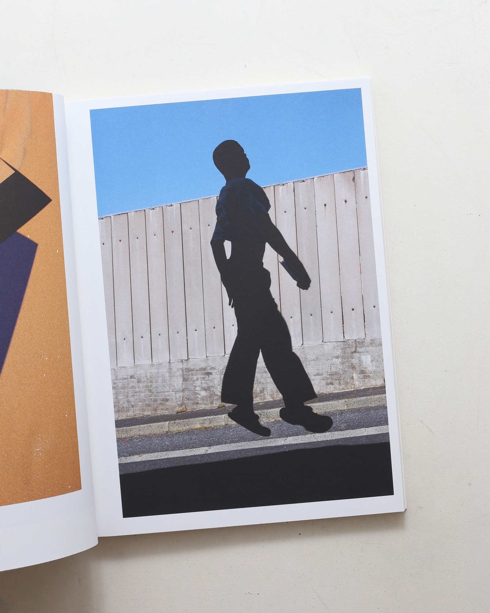 Umbra | Viviane Sassen