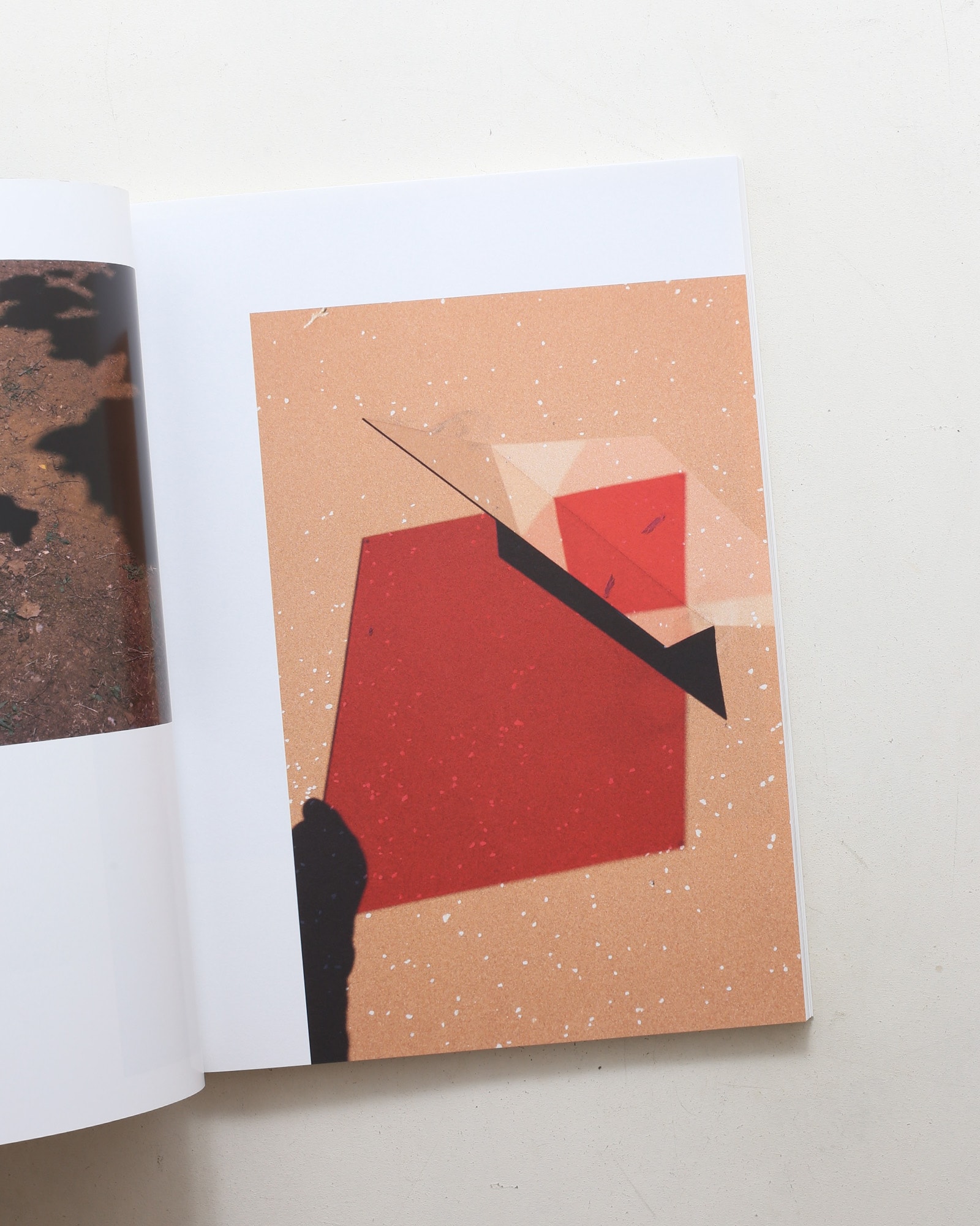 Umbra | Viviane Sassen