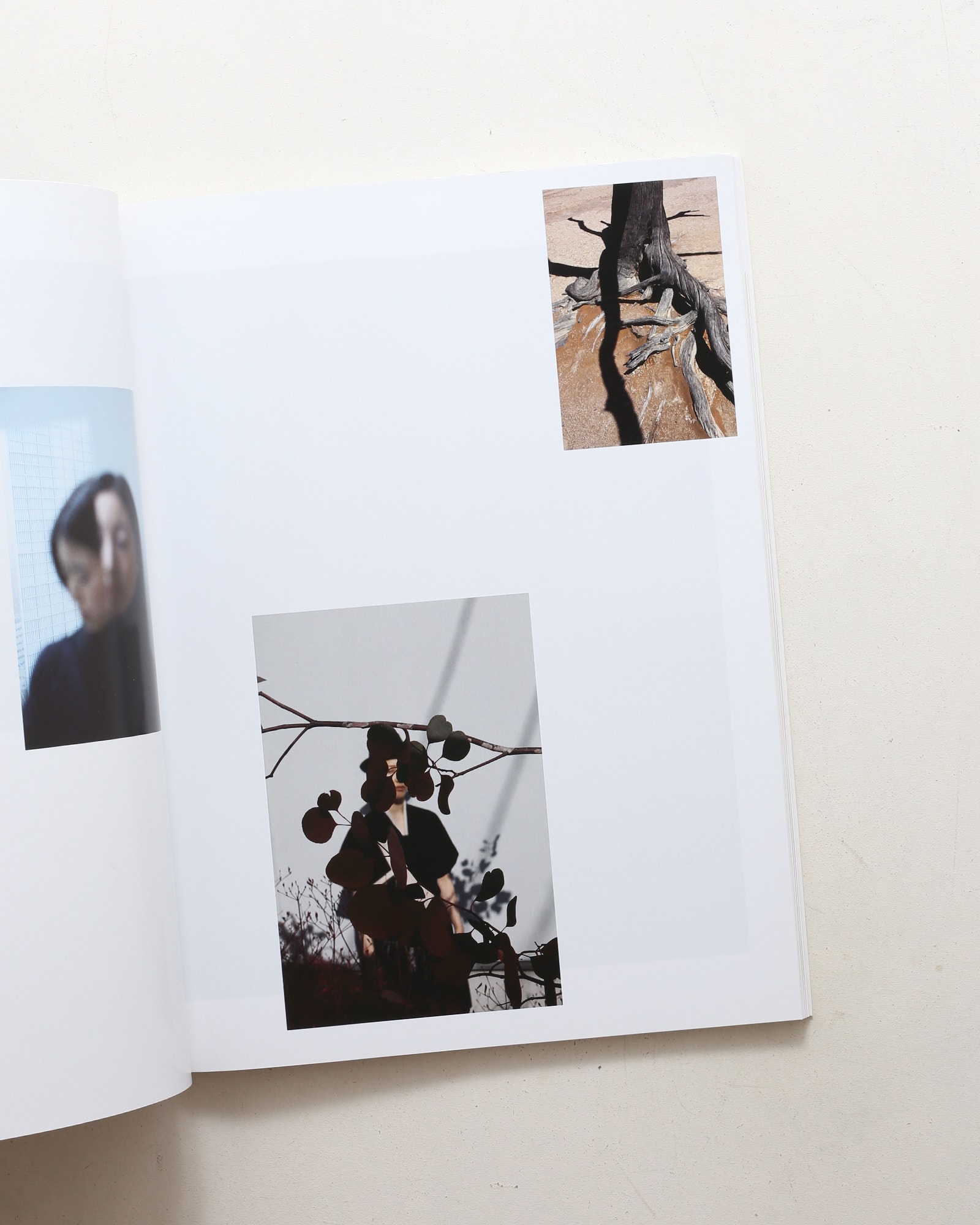 Umbra | Viviane Sassen