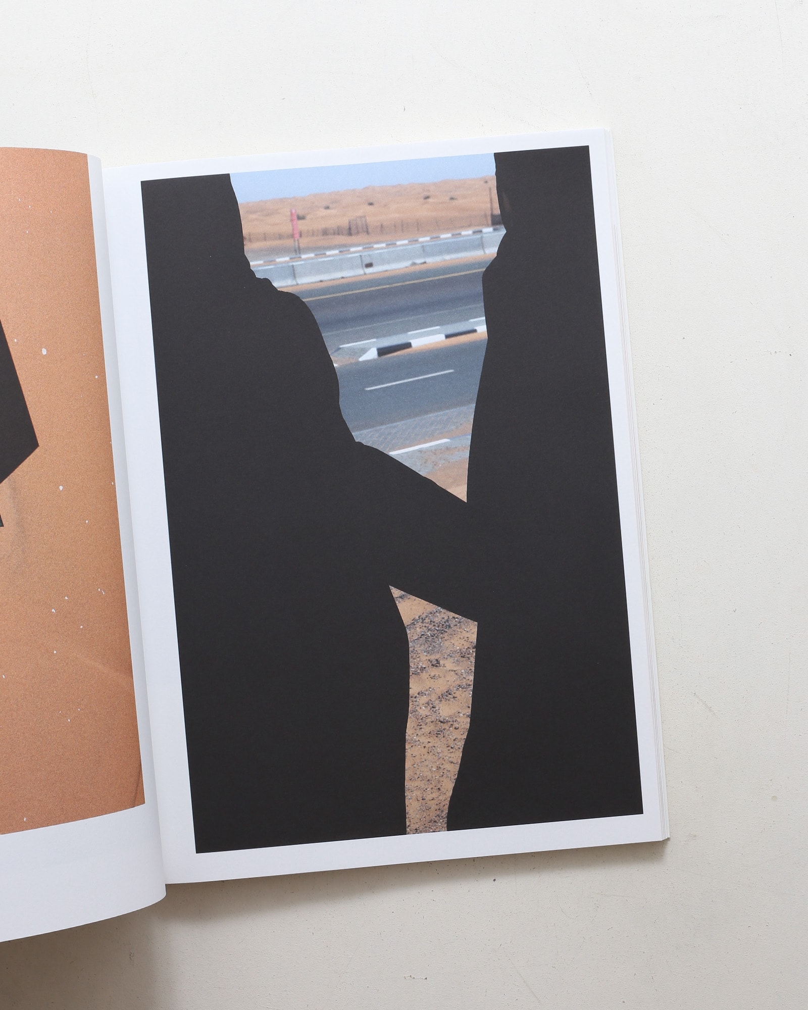 Umbra | Viviane Sassen