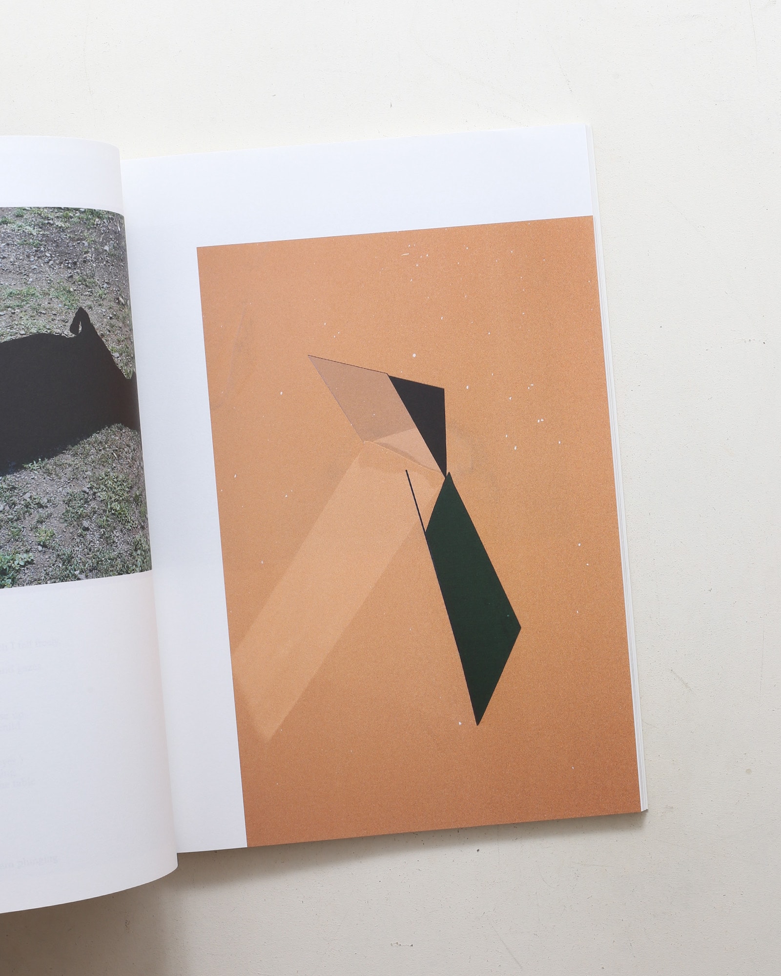 Umbra | Viviane Sassen