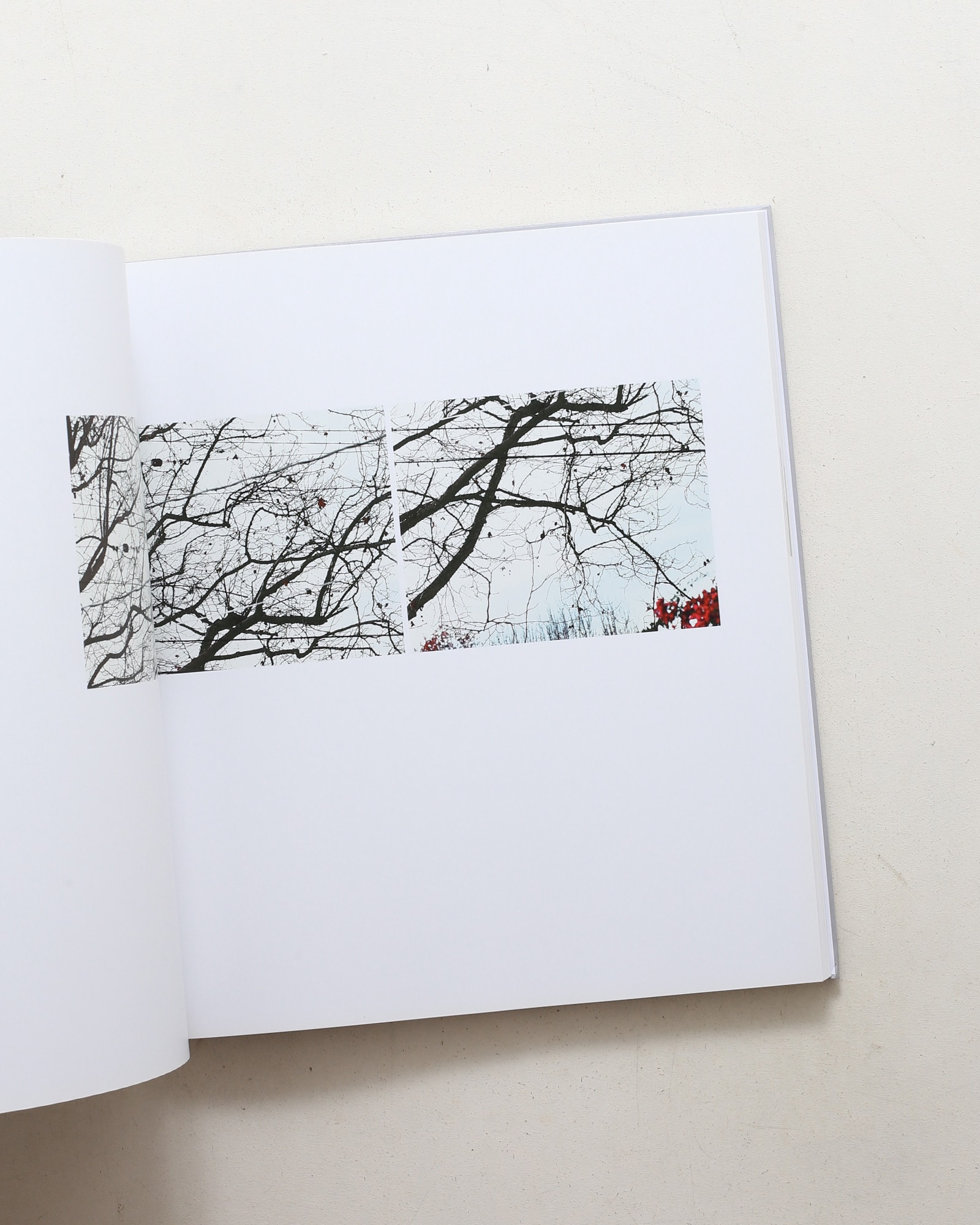 Uta Barth: Peripheral Vision