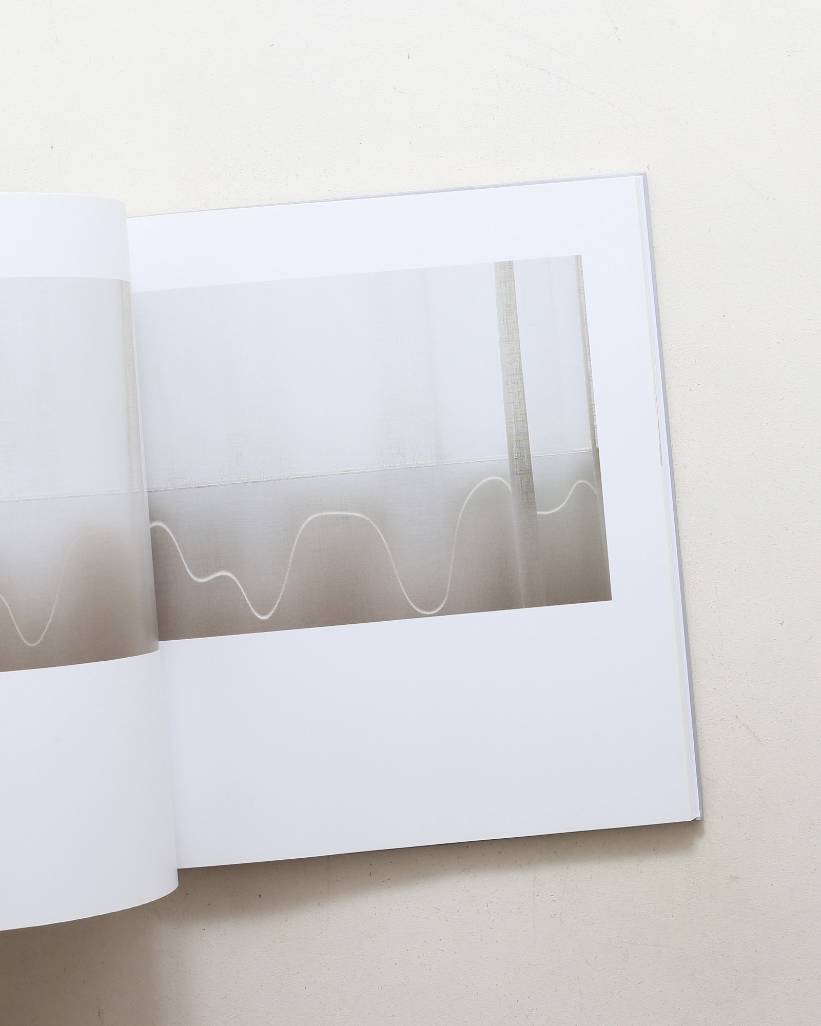 Uta Barth: Peripheral Vision