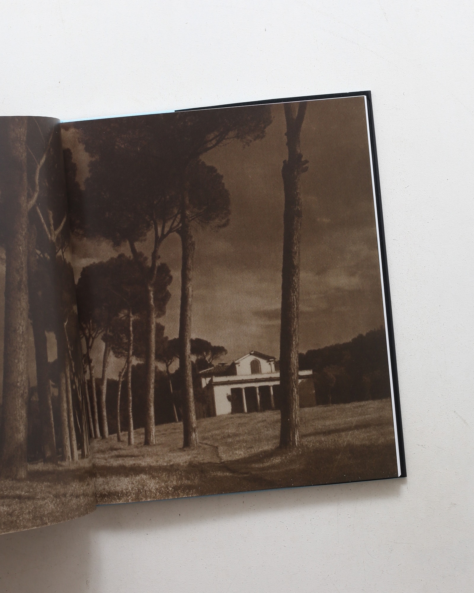 Heinrich Kuehn and his American Circle: Alfred Stieglitz and Edward Steichen