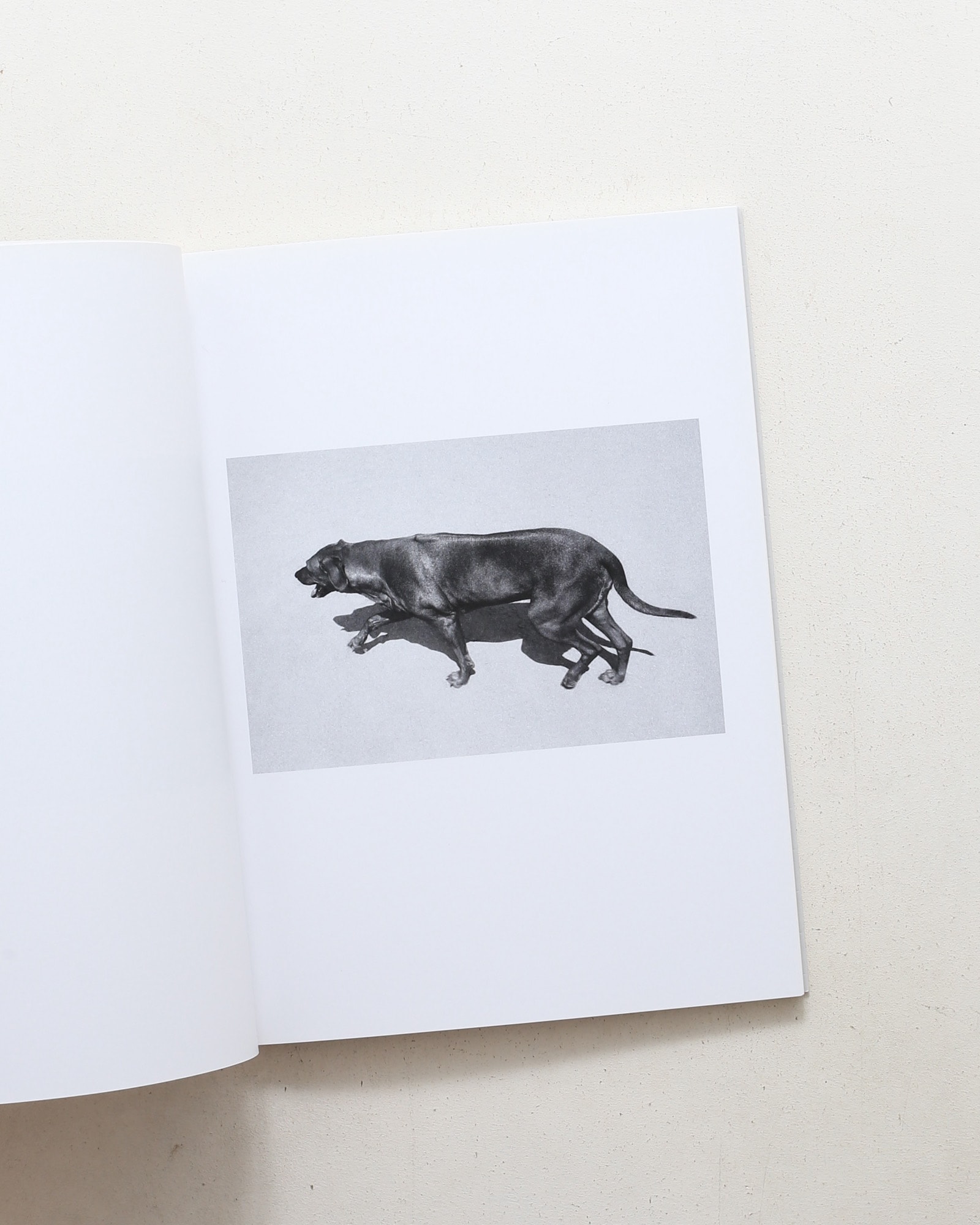NOTWITHSTANDING | Hudson Hayden