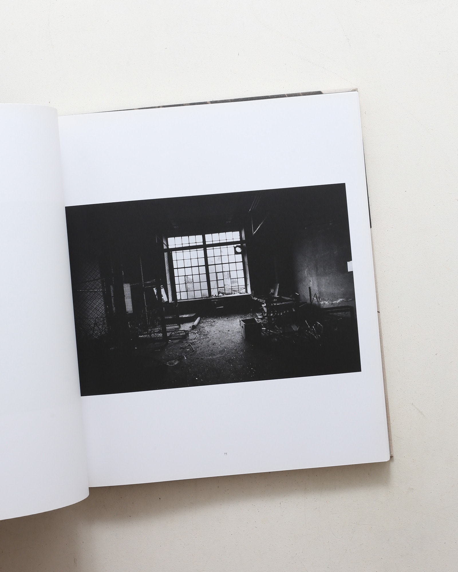 David Lynch: The Factory Photographs