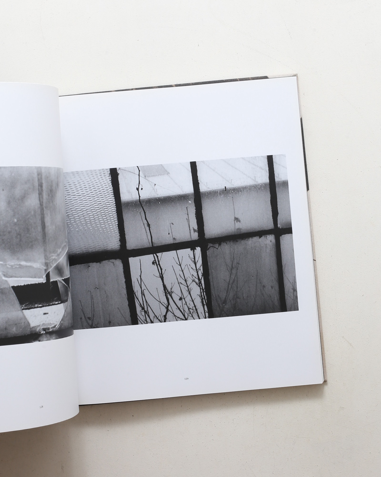 David Lynch: The Factory Photographs