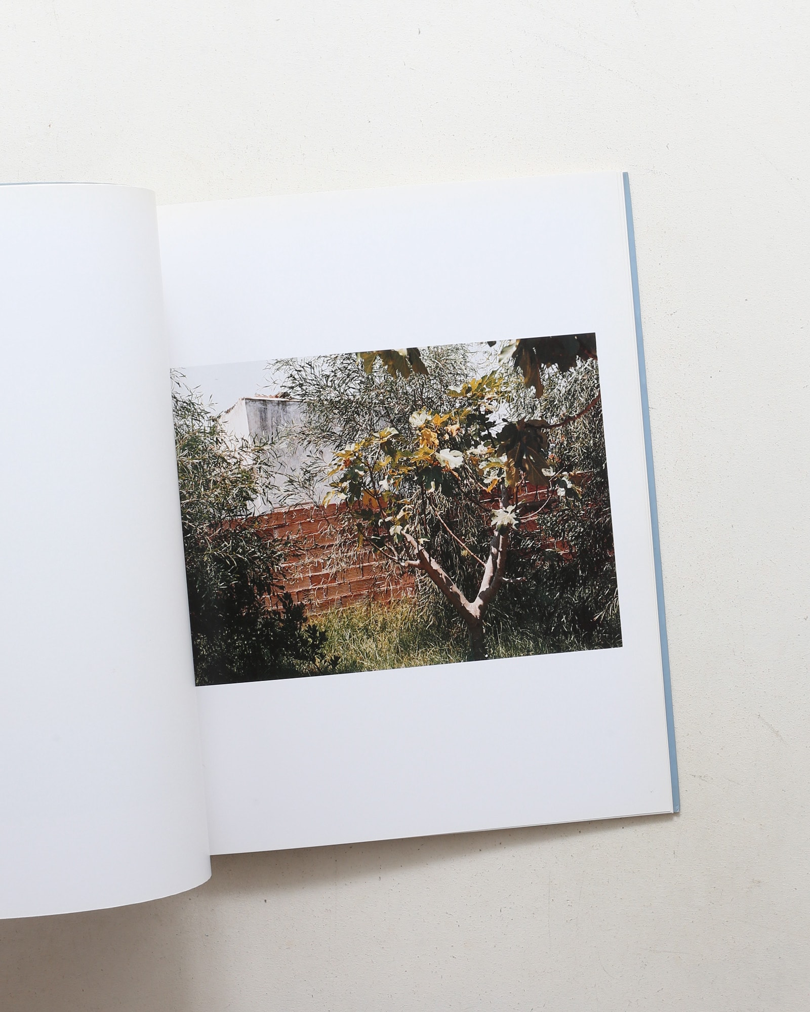 Something is Missing | Jean-Marc Bustamante