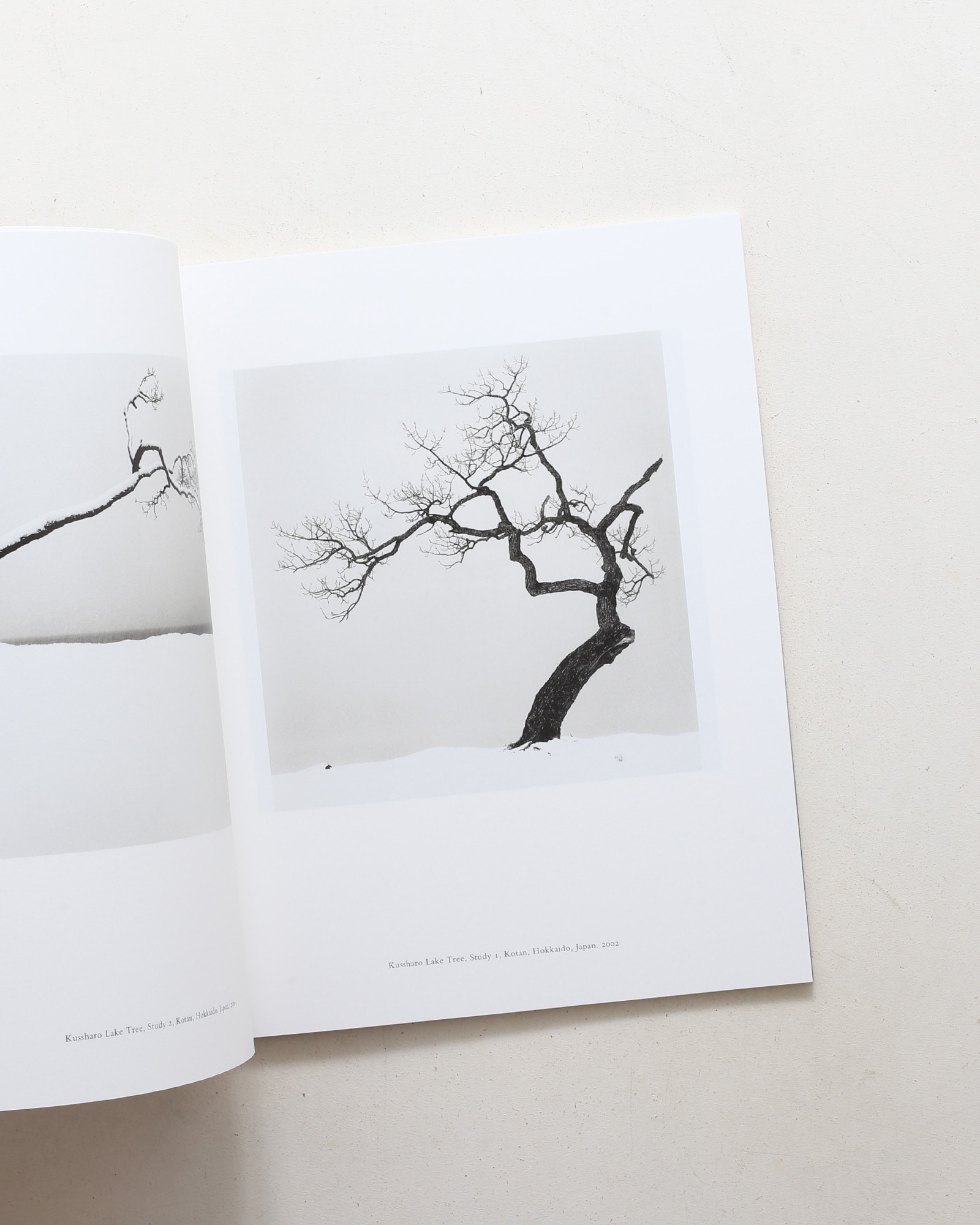 Michael Kenna: A 45 Year of Odyssey