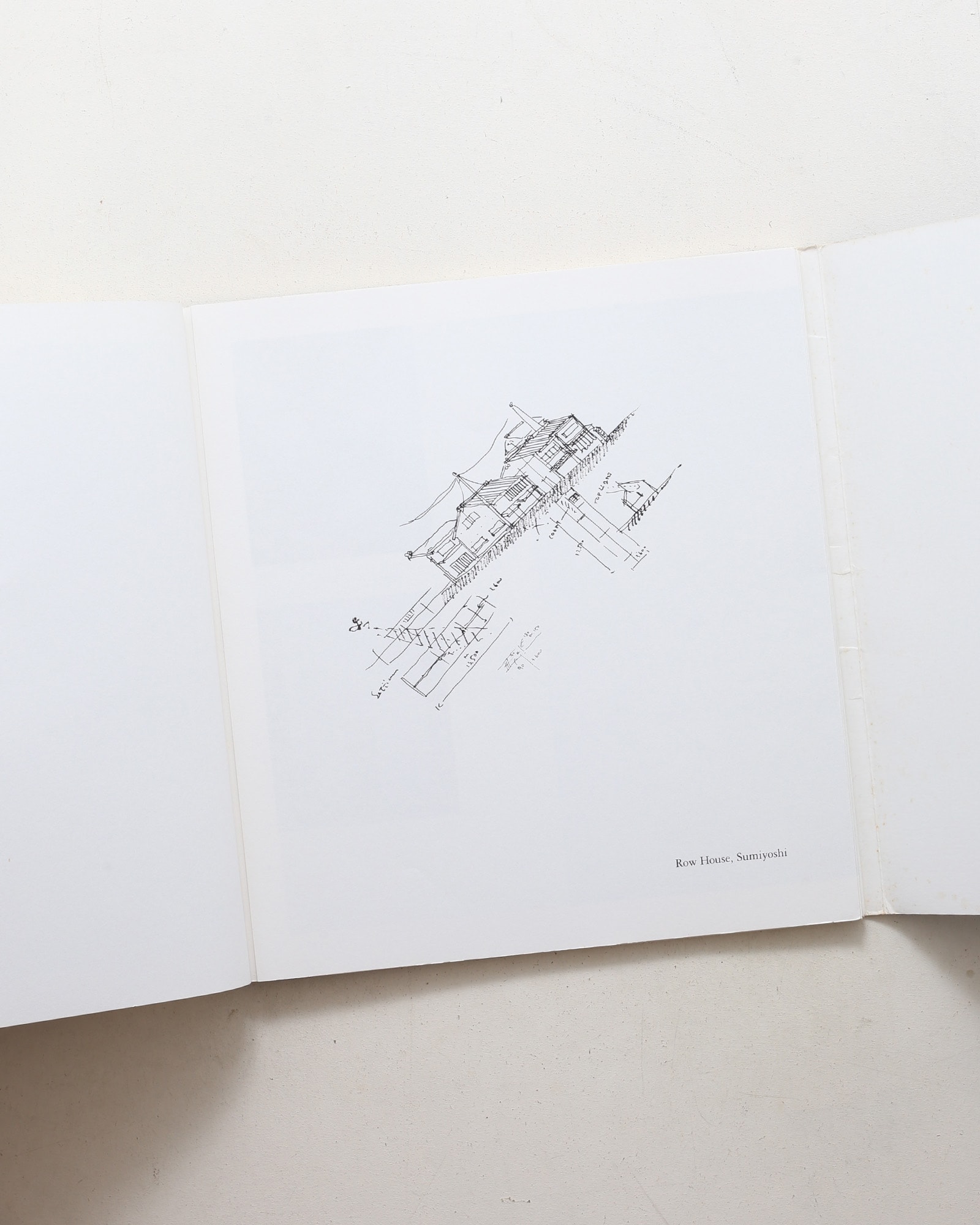 Dormant Lines | Tadao Ando