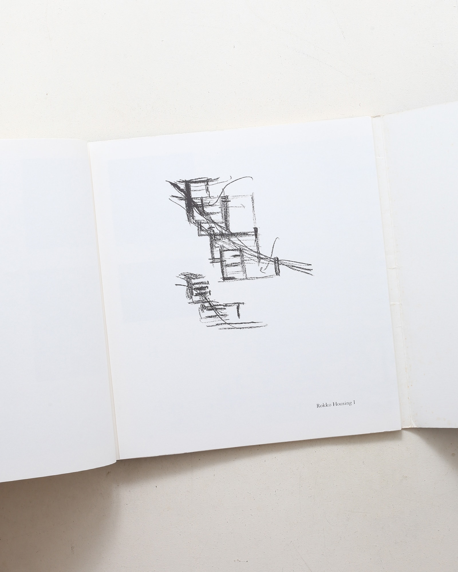 Dormant Lines | Tadao Ando