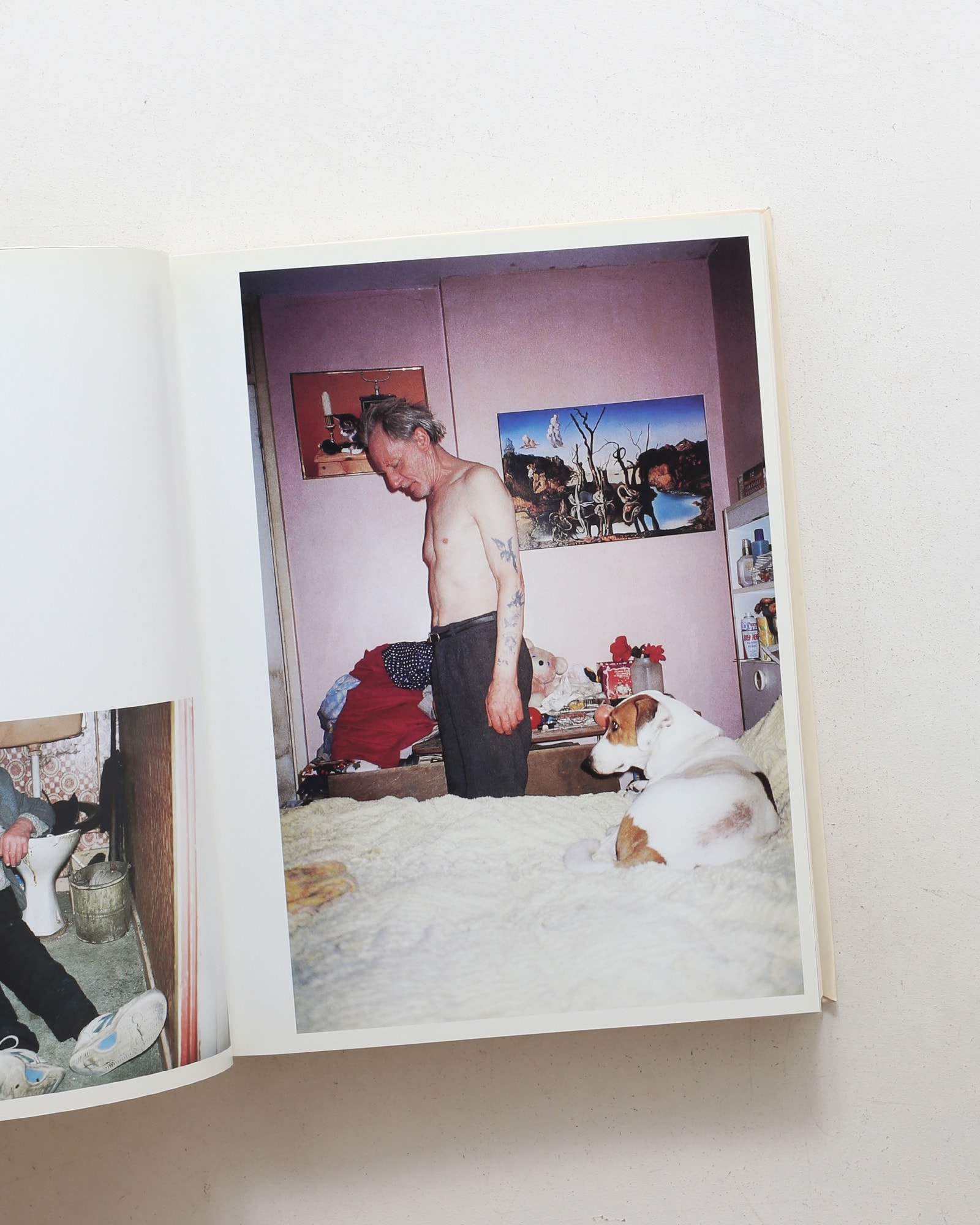 I am a Camera: The Saatchi Gallery