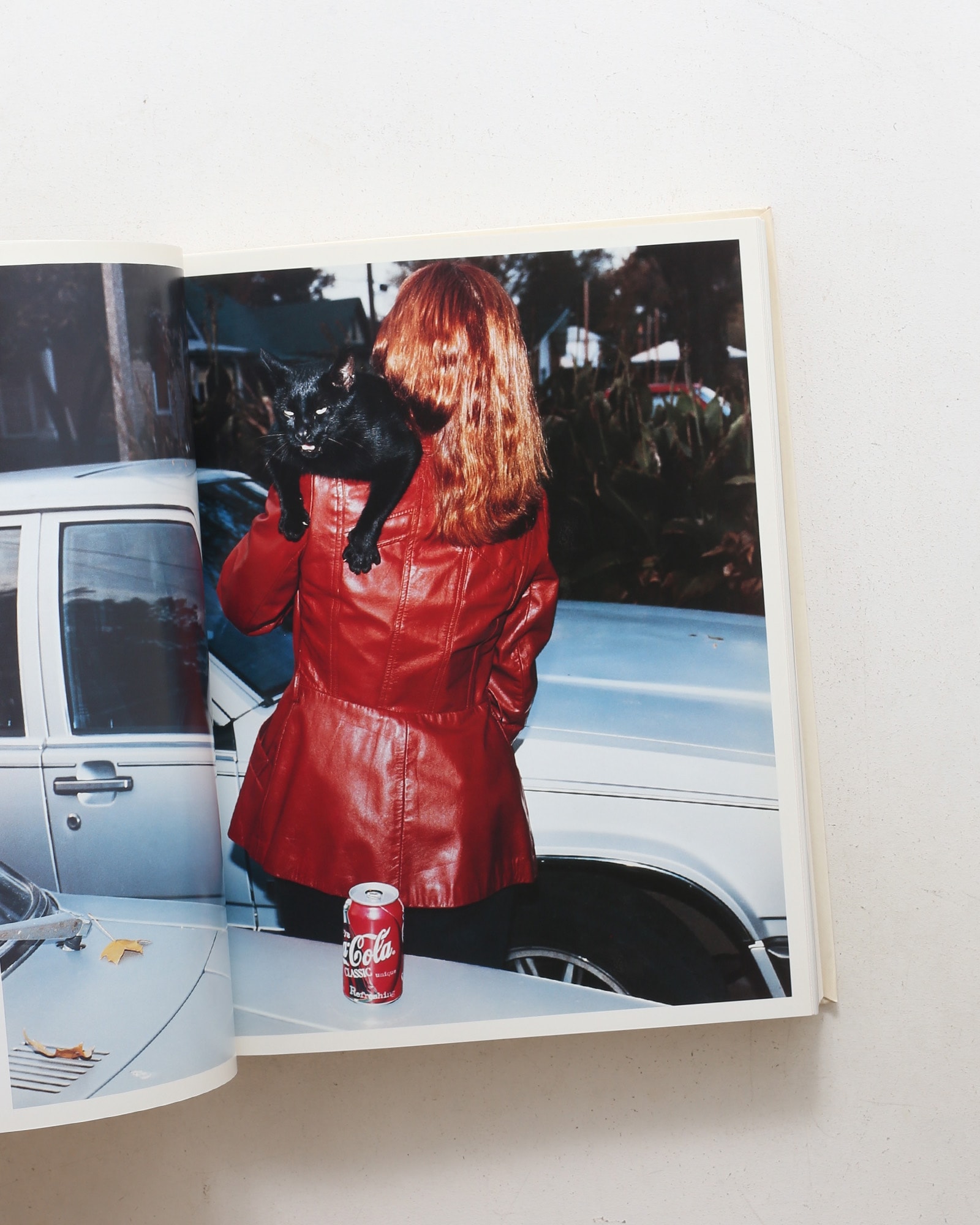 I am a Camera: The Saatchi Gallery