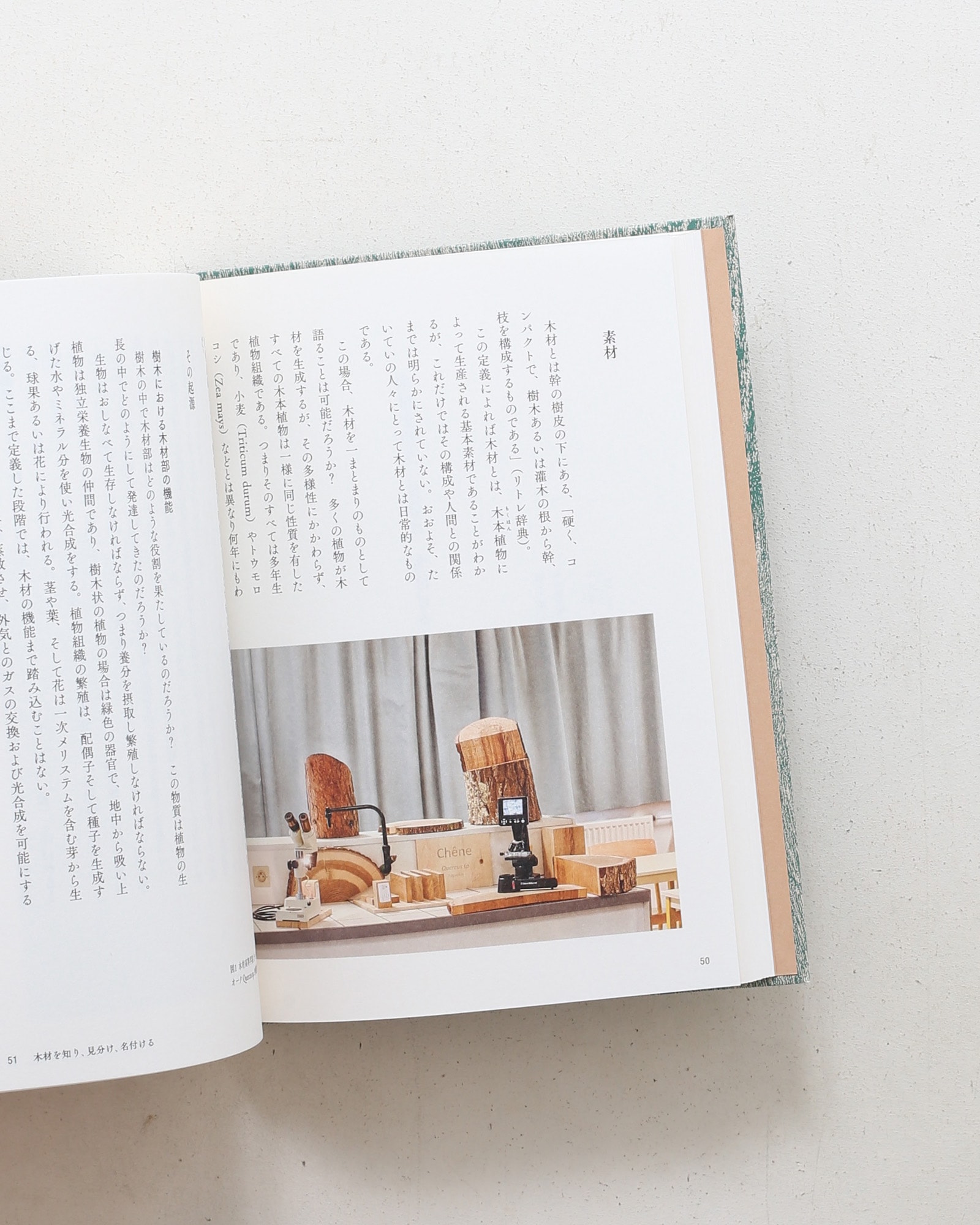 Savoir & Faire 木