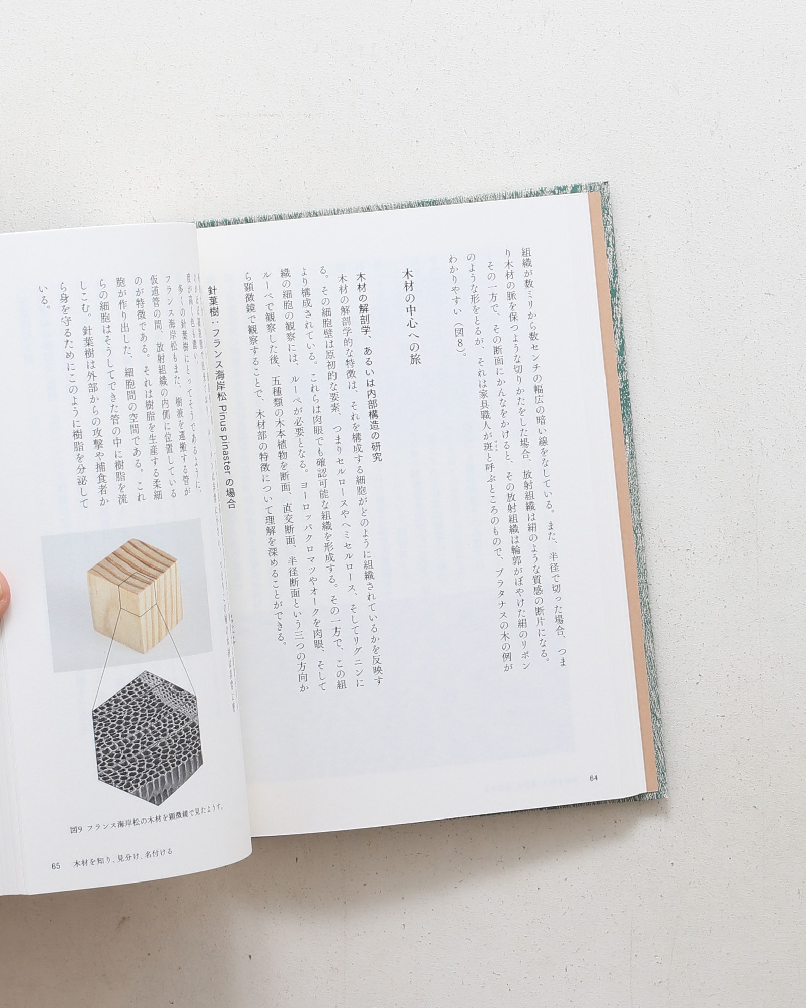 Savoir & Faire 木