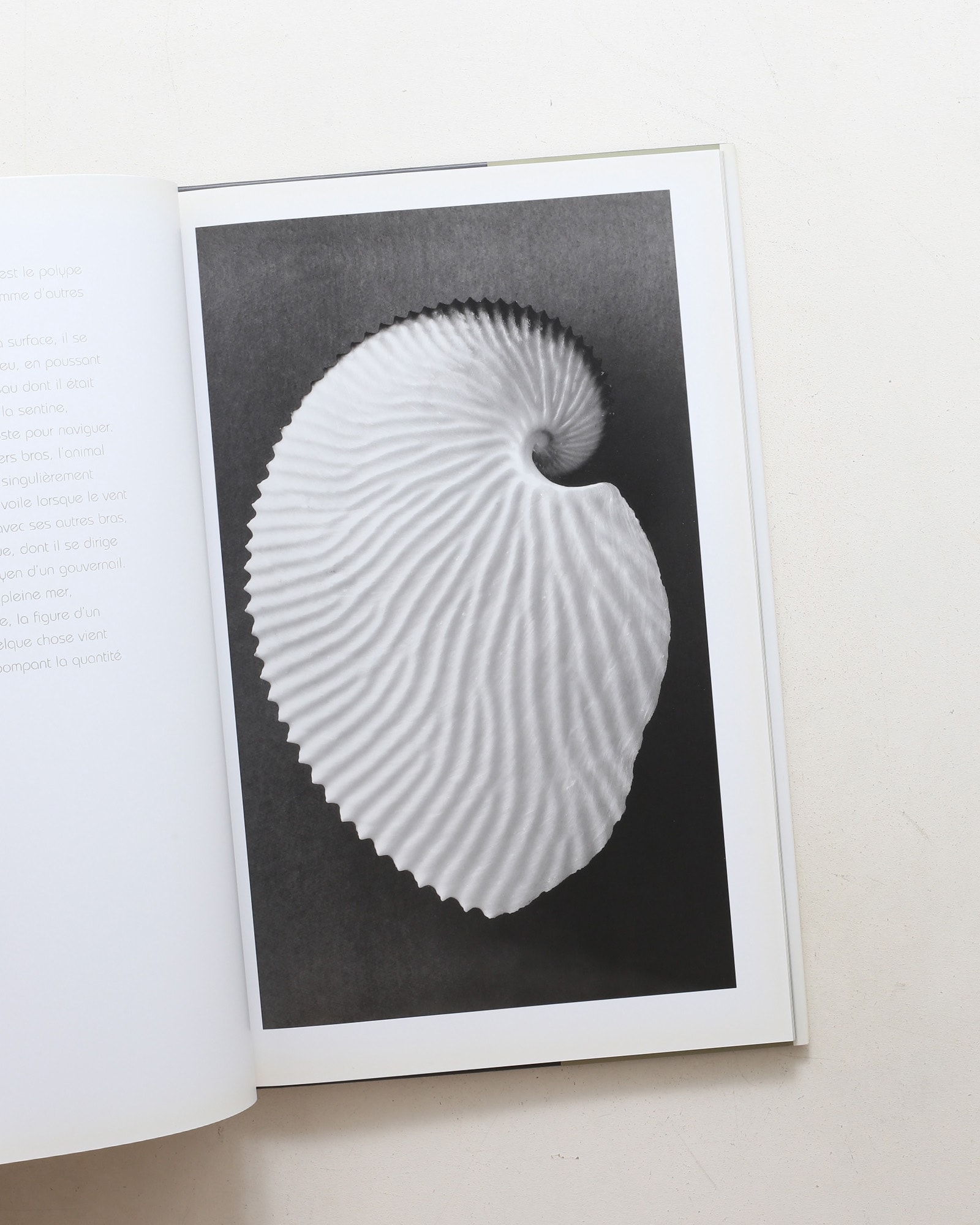 Curiosites des mers | Vincent Leray