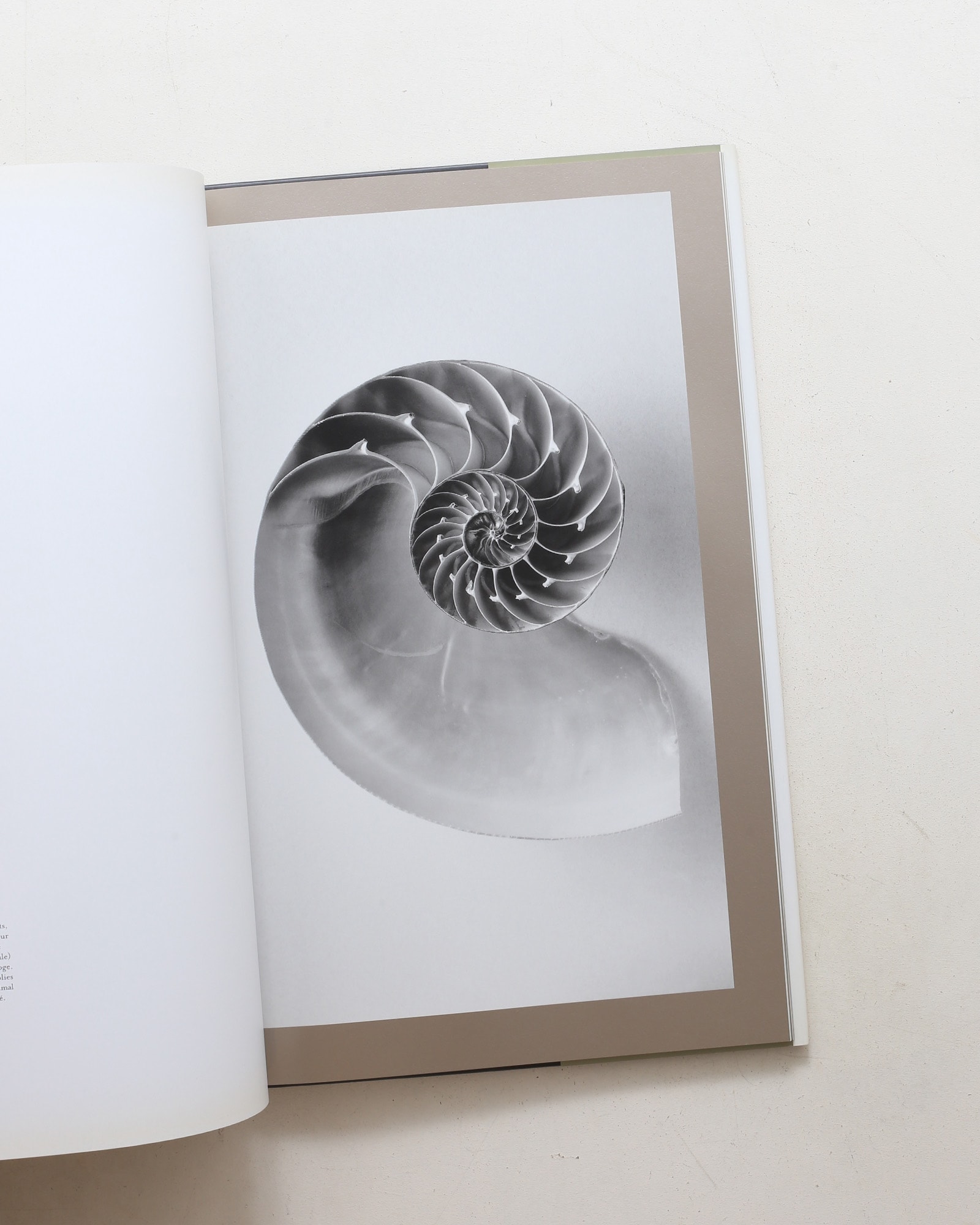 Curiosites des mers | Vincent Leray