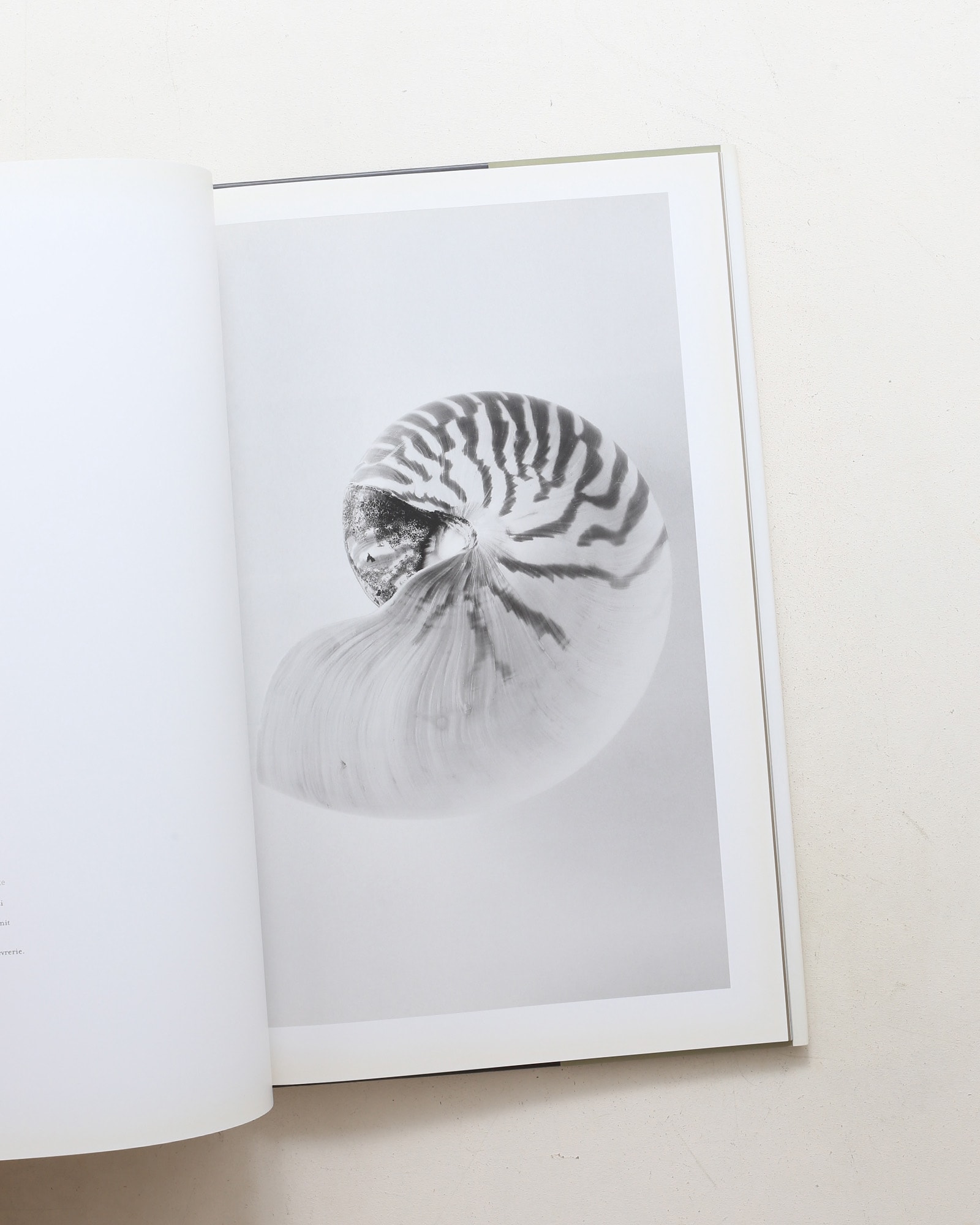Curiosites des mers | Vincent Leray