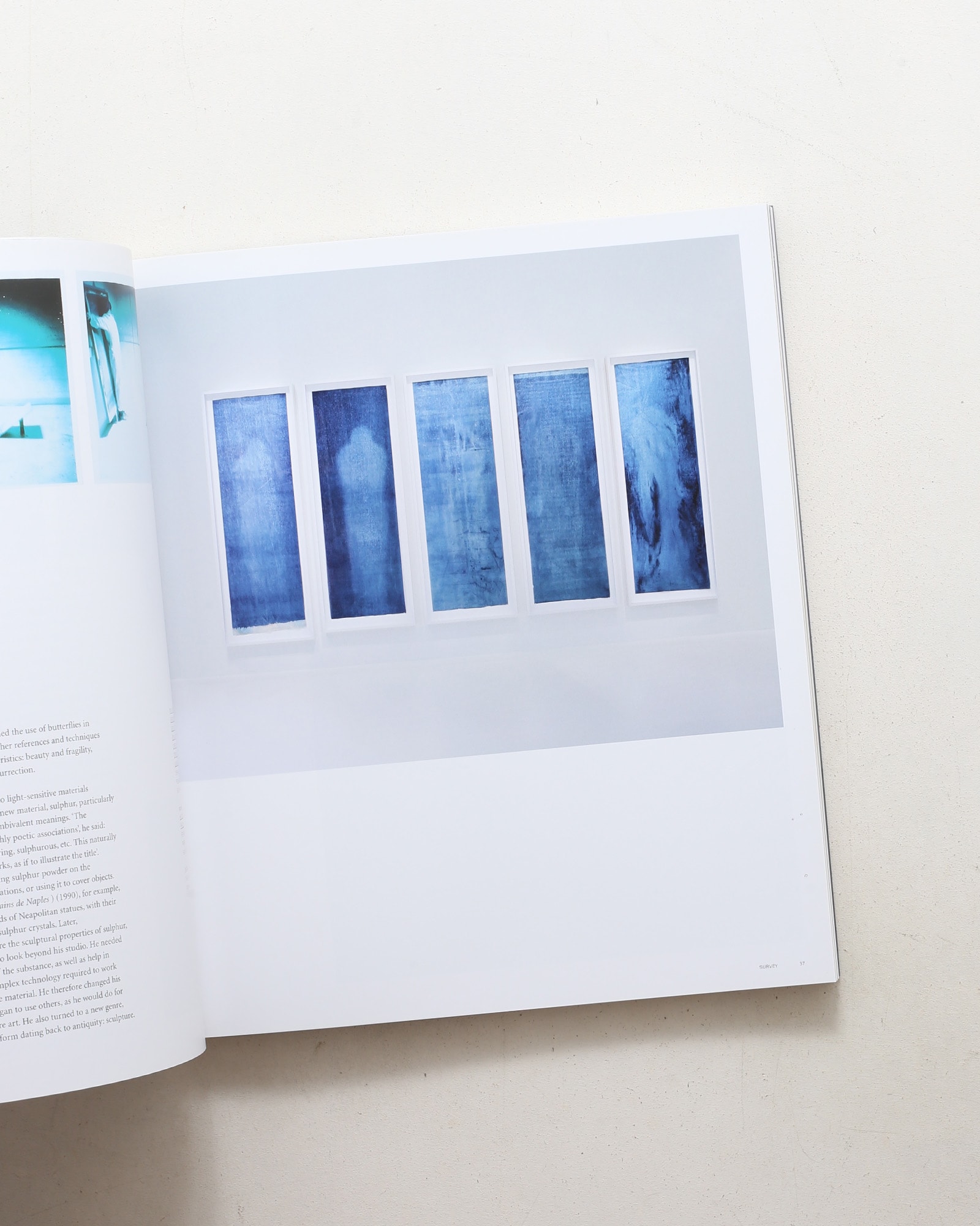 Jean-Michel Othoniel | Phaidon Contemporary Artists Series