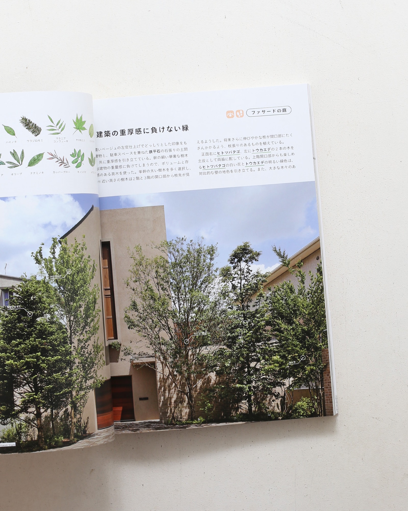 緑のデザイン 住まいと引き立てあう設計手法